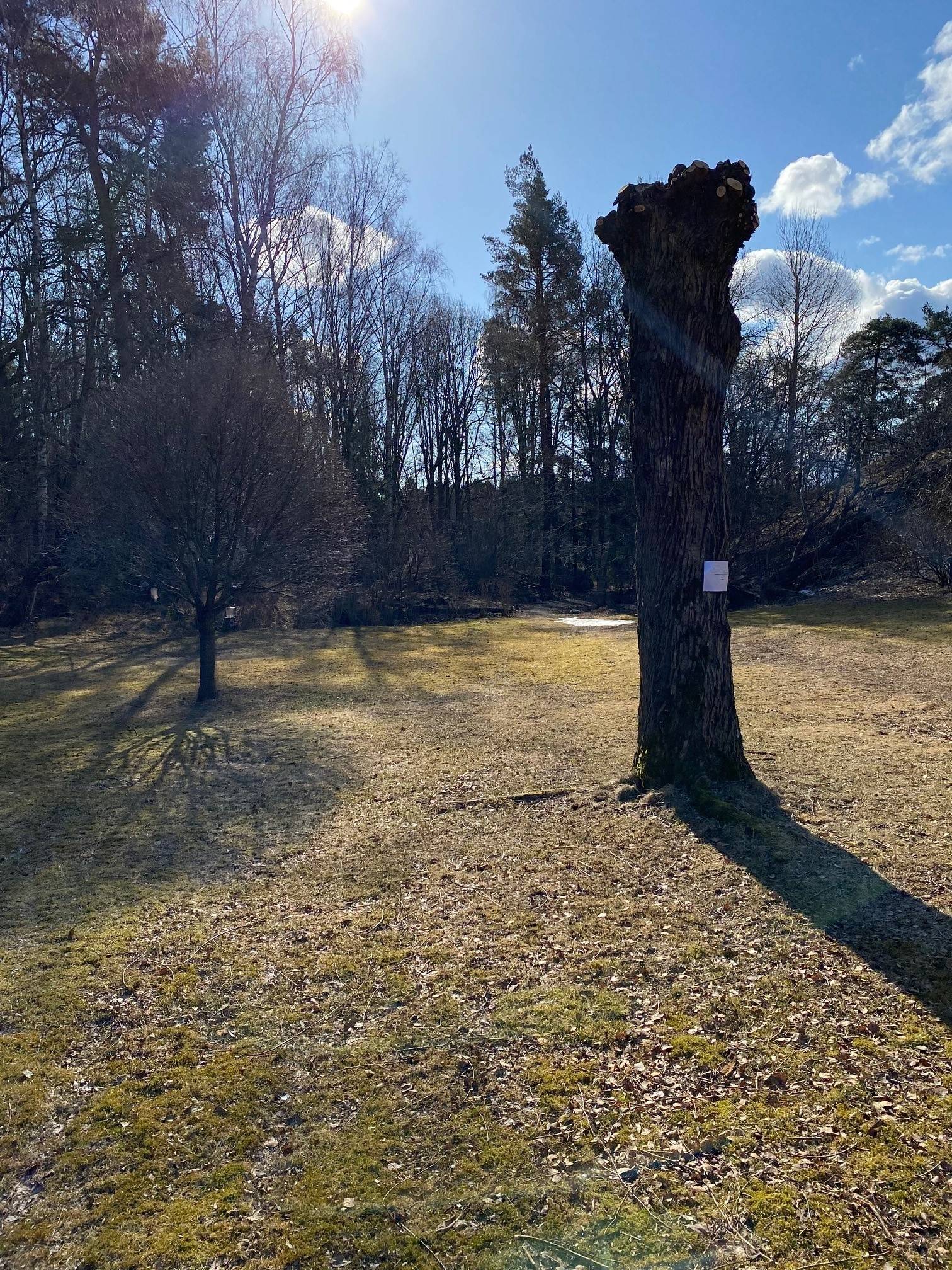 5 rum Radhus på Balingsnäsvägen 102 Balingsnäs Huddinge kommun - bild 32