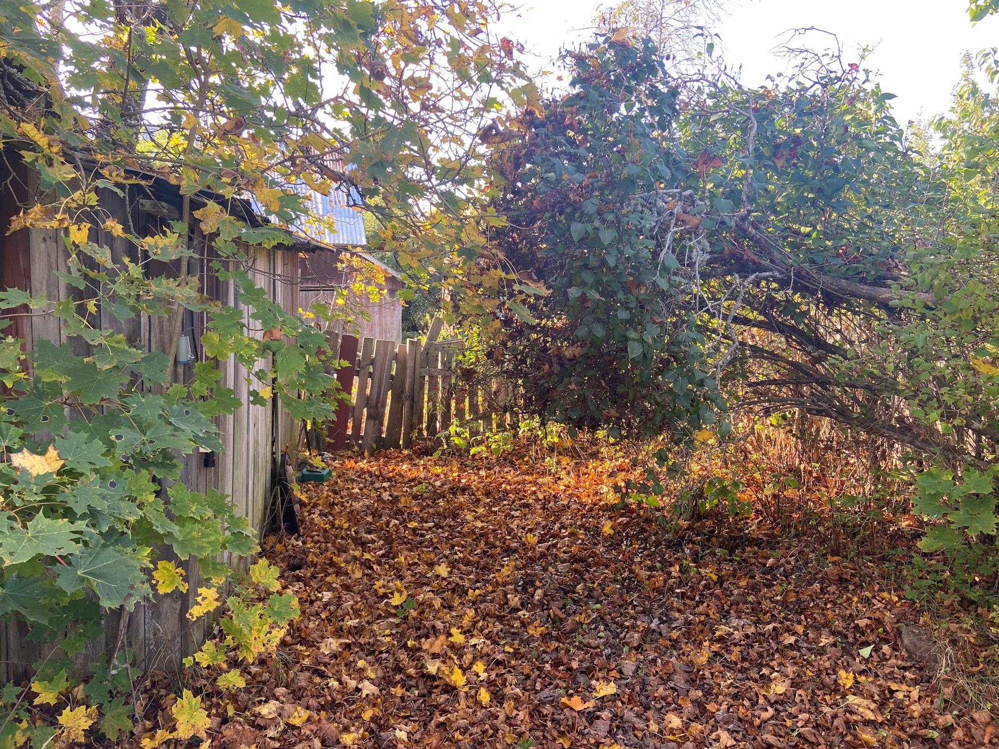 6 rum Villa på Norrbyggebyvägen 335 Rånäs Norrtälje kommun - bild 13