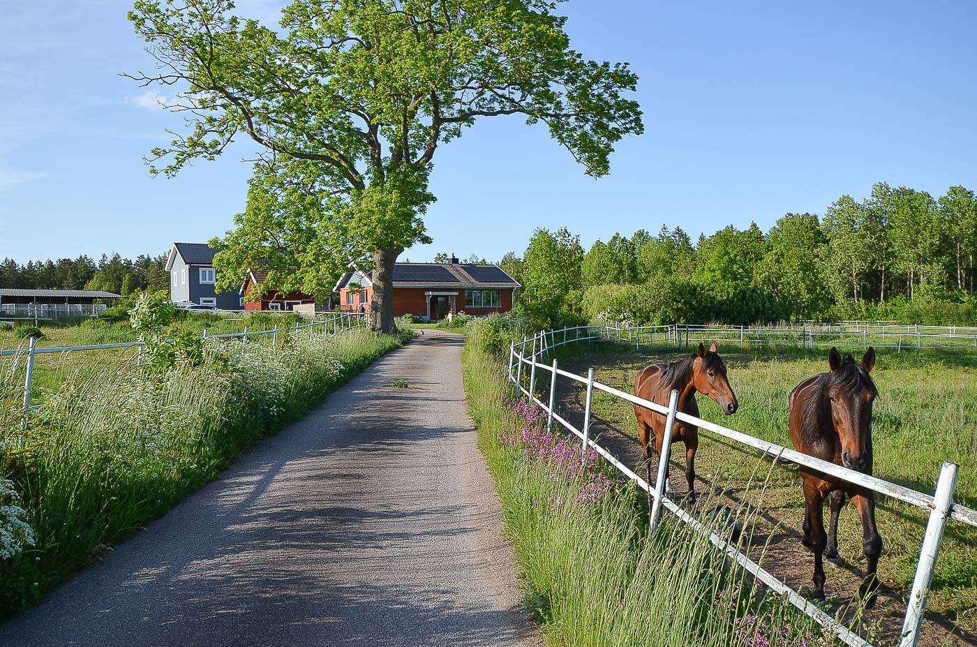 5 rum Villa på Tomtebyholm 710 SMEDBY Kalmar kommun - bild 45