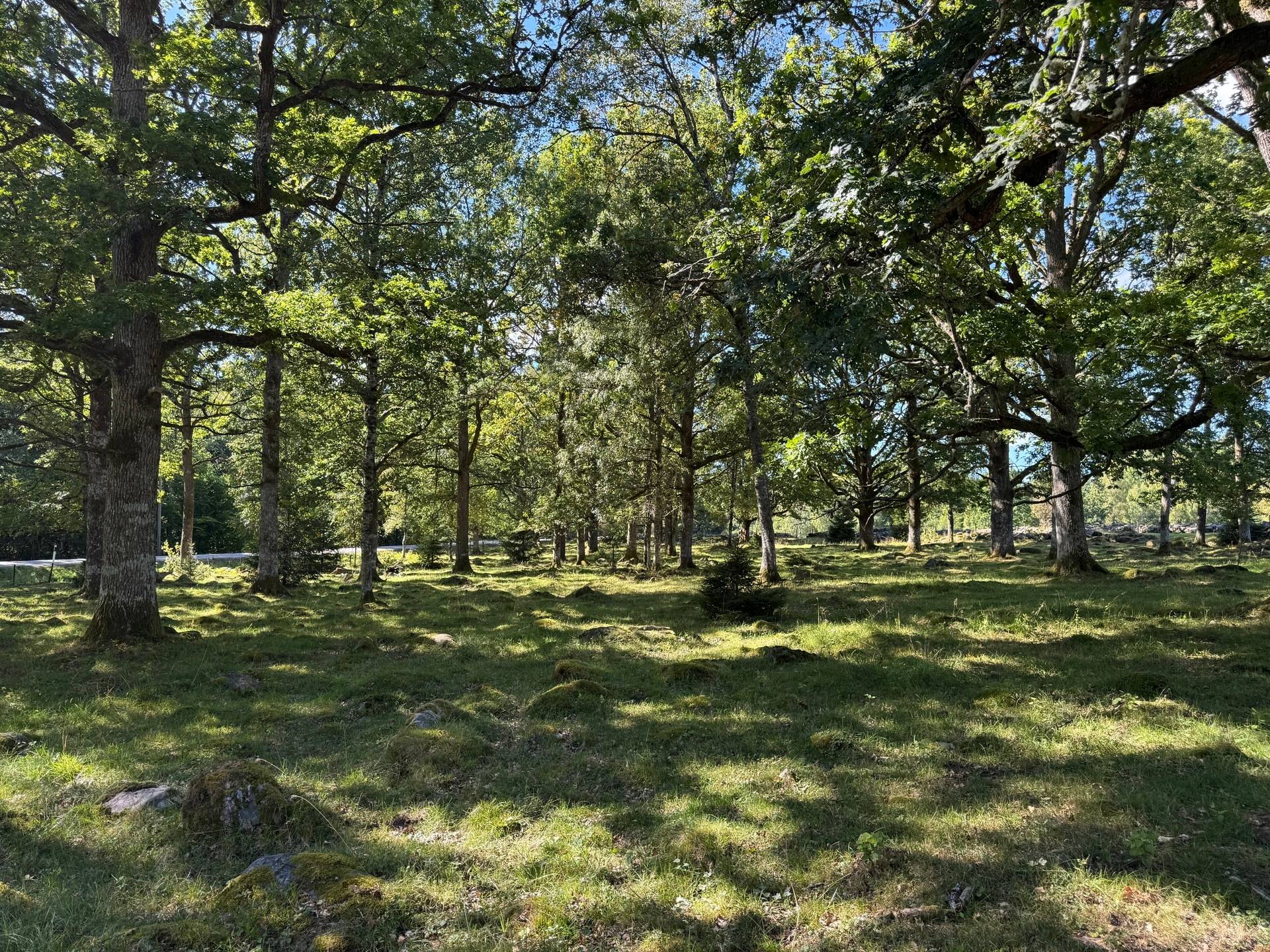 6 rum Gård med jordbruk på Kvarbo gård 2 Borås kommun - bild 48