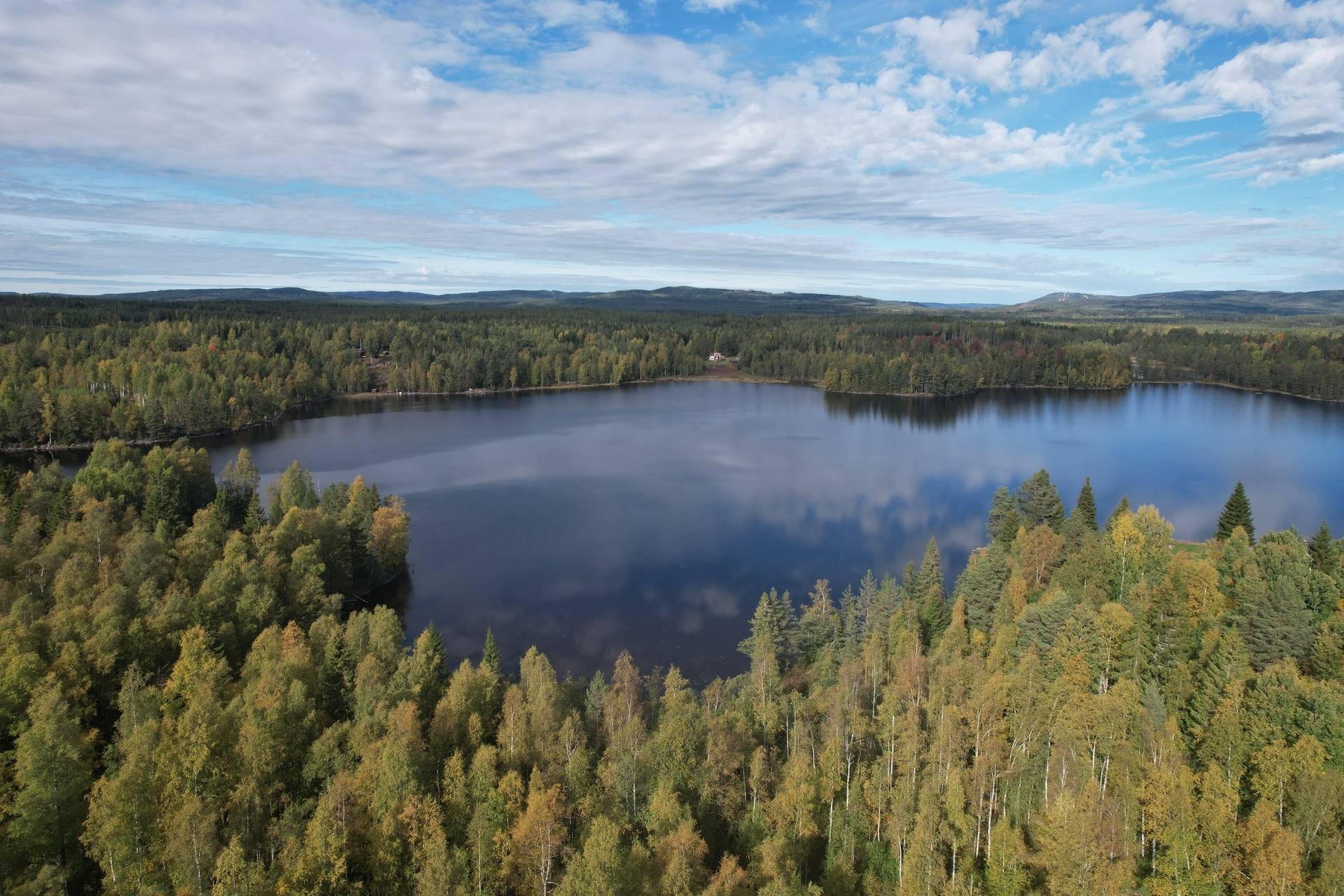 Gård med skogsbruk på Norbohyttan Säters kommun - bild 27