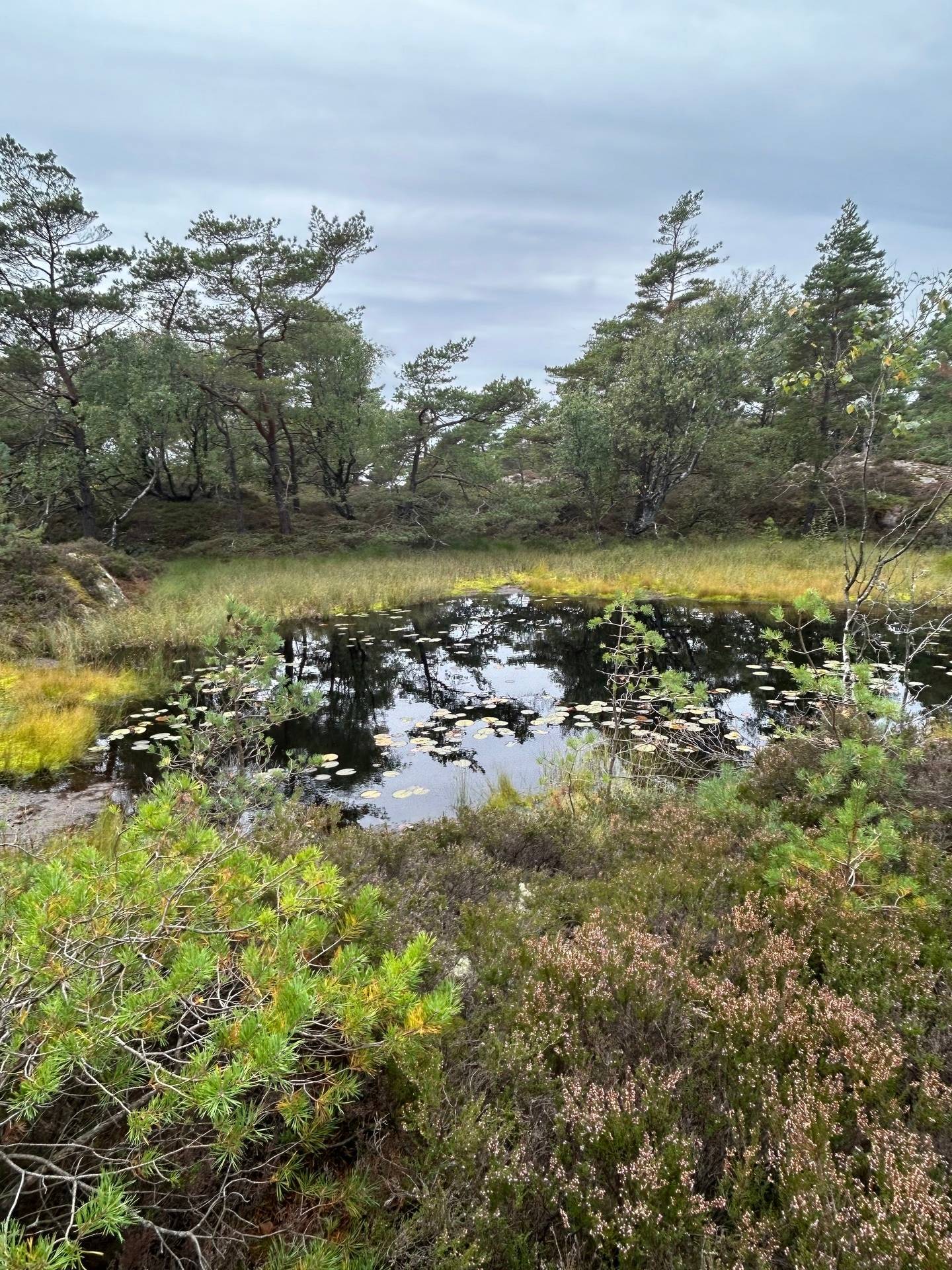 8 rum Gård med jordbruk på Bro 521 Ellös Orust kommun - bild 26