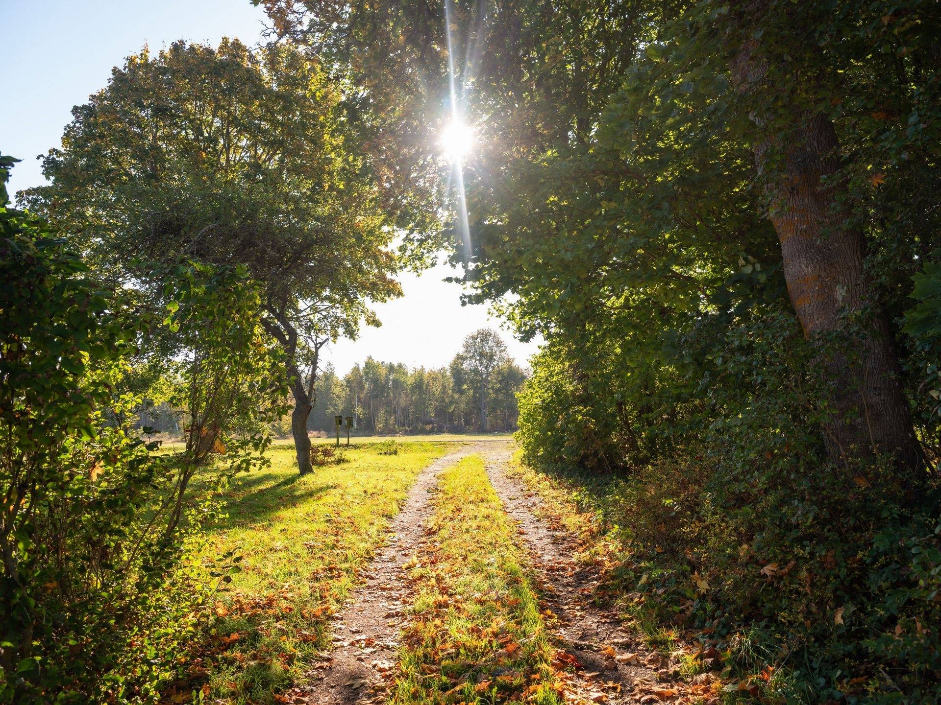 4 rum Gård utan jordbruk på Fardhem Rodarve 513 Fardhem - Södra Gotland Gotlands kommun - bild 57