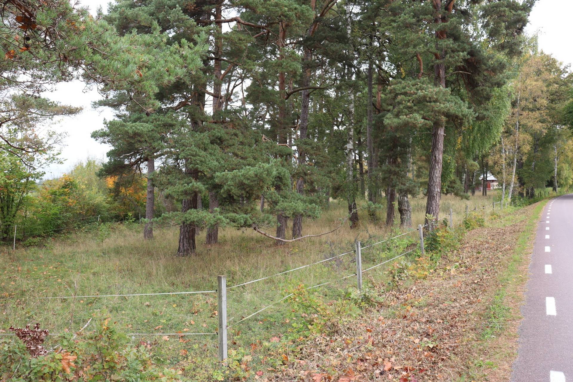 4 rum Gård utan jordbruk på Fardhem Rodarve 513 Fardhem - Södra Gotland Gotlands kommun - bild 55