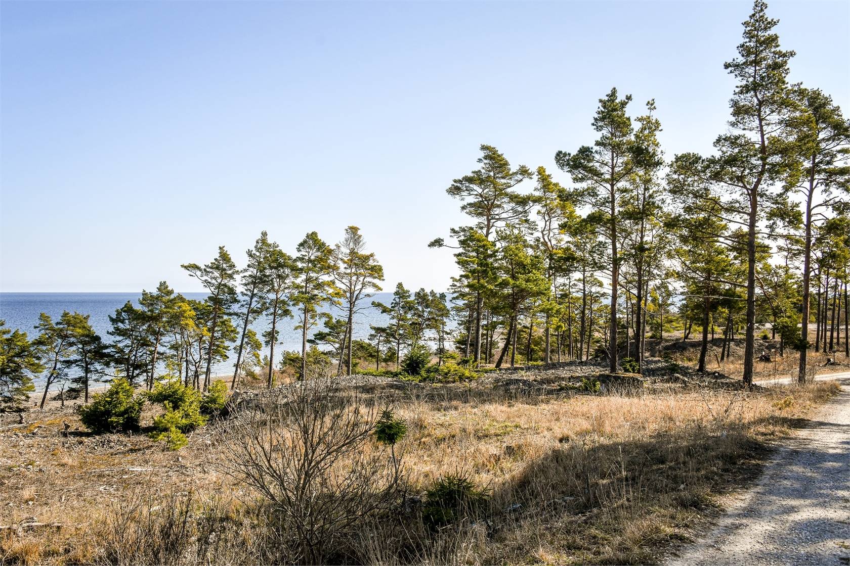 Tomt på Höga land 4 Norra Gotland Gotlands kommun - bild 6