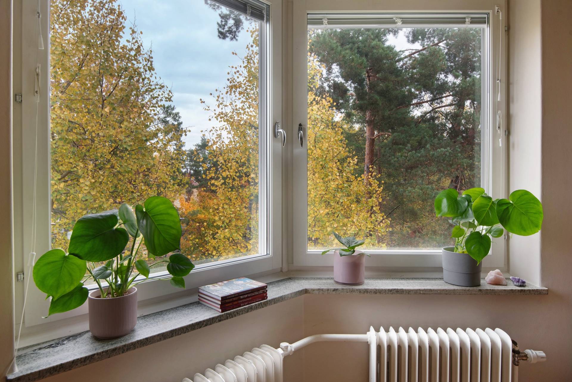 3 rum Lägenhet på Svartågatan 39, 3tr Bagarmossen Stockholms kommun - bild 27