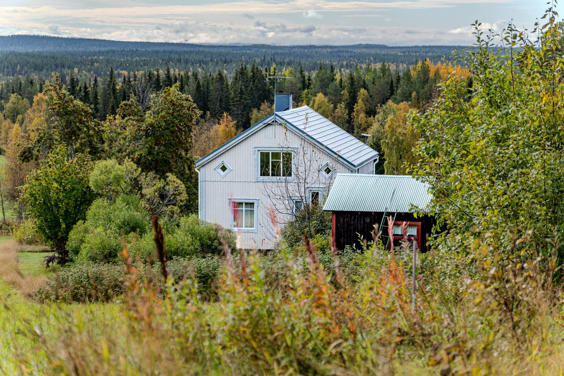 4 rum Gård utan jordbruk på Missenträsk 125 Missenträsk Skellefteå kommun - bild 4