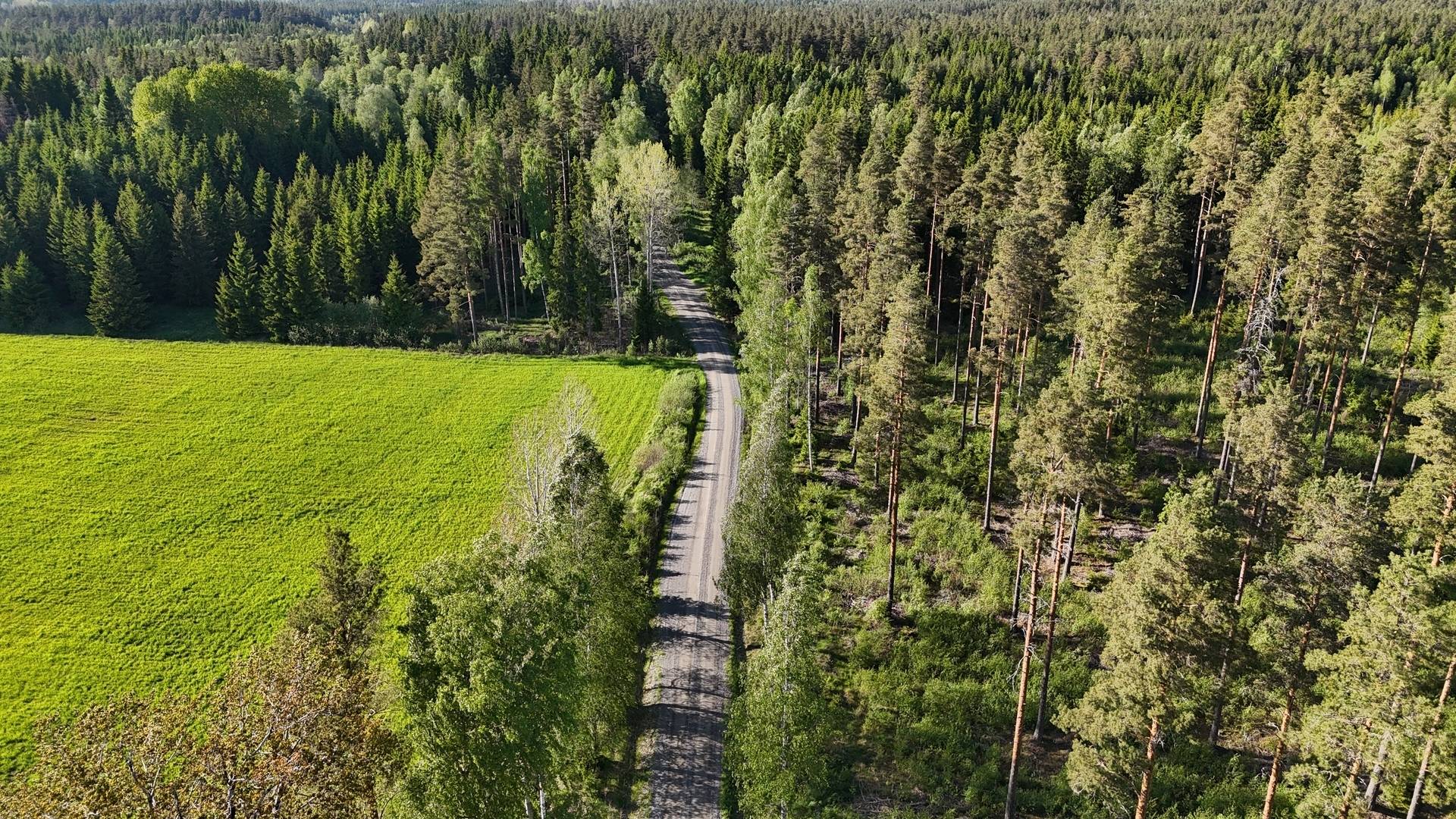 Gård/skog på Lindesberg Gåsnäsboda 1:5 Lindesbergs kommun - bild 5