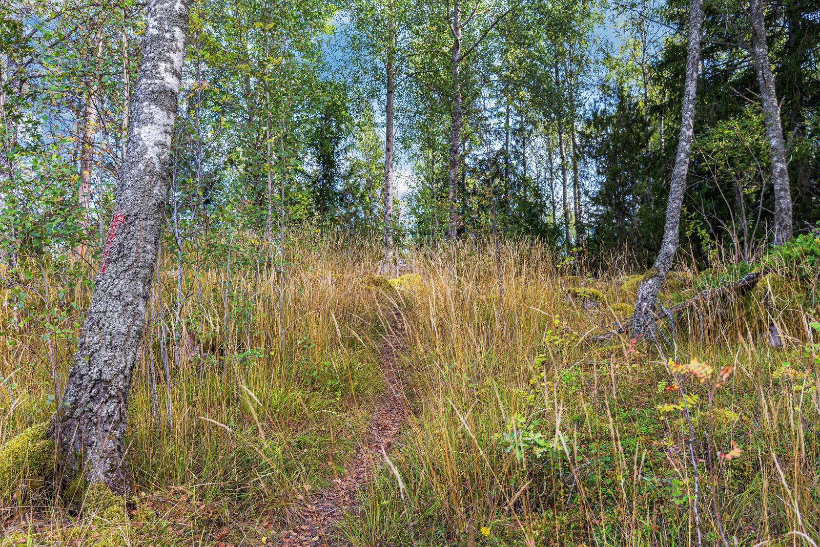 Tomt på Tomt Åsby Östuna Knivsta kommun - bild 15