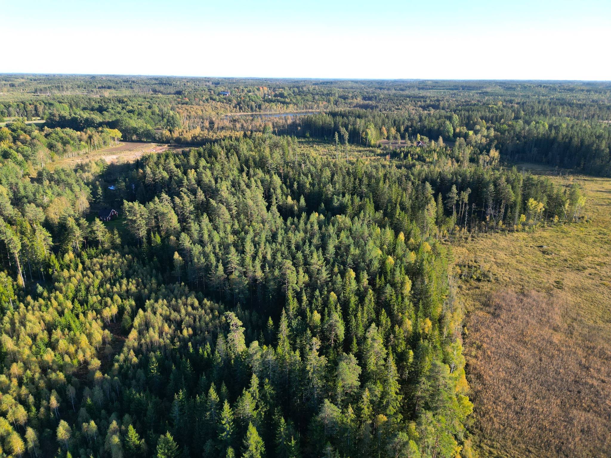 Gård med skogsbruk på Trällebonäs, Älmeboda Älmeboda Trällebo Tingsryds kommun - bild 6