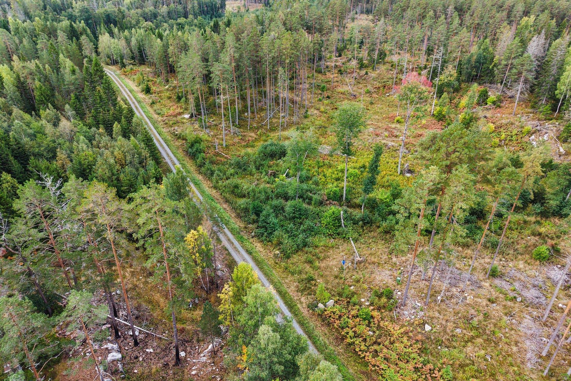 Gård med skogsbruk på Norrtälje Bro 4:8 & 8:1 Norrtälje kommun - bild 12