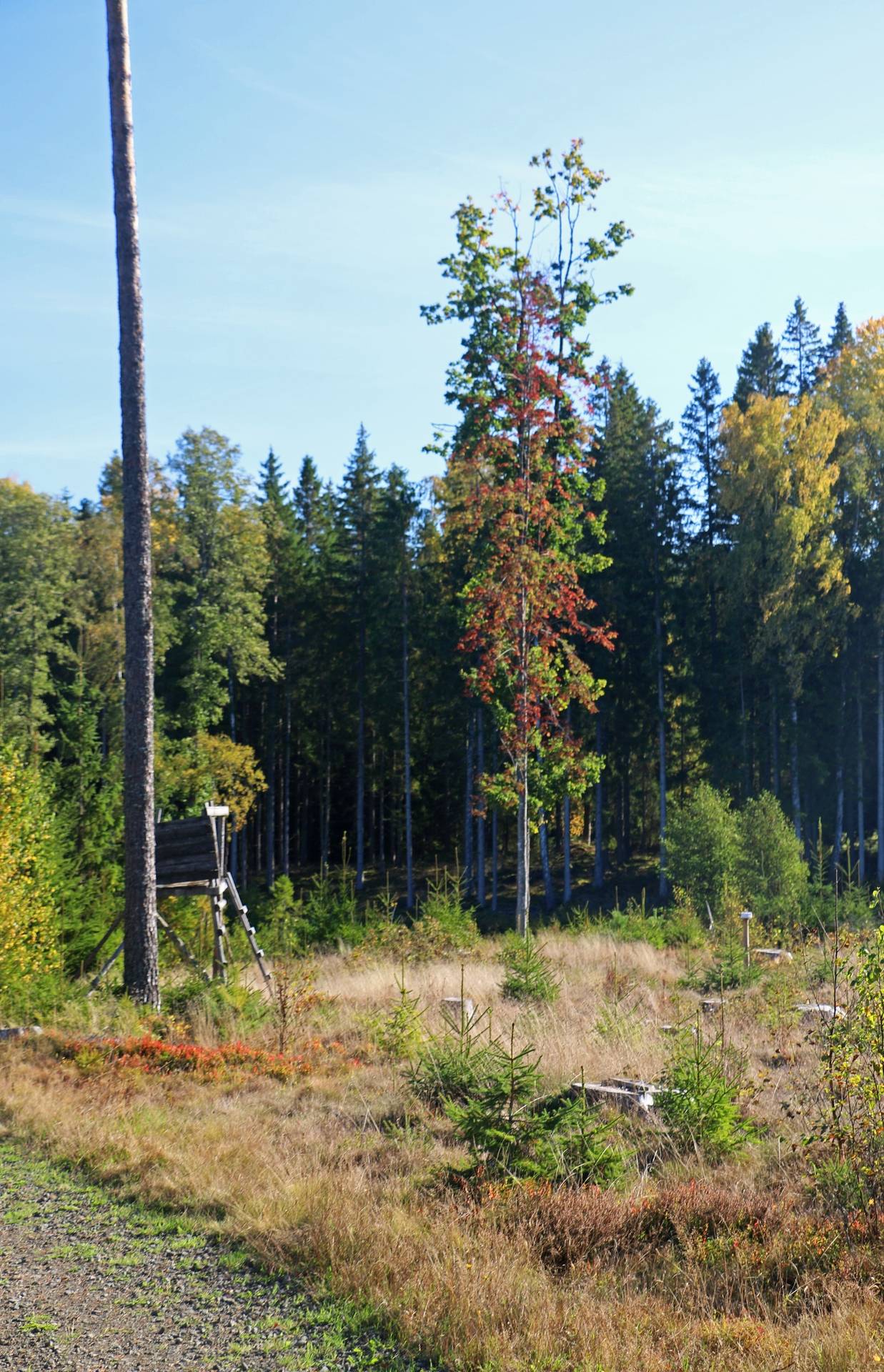 Gård med jordbruk på Älmekulla Ydre kommun - bild 23