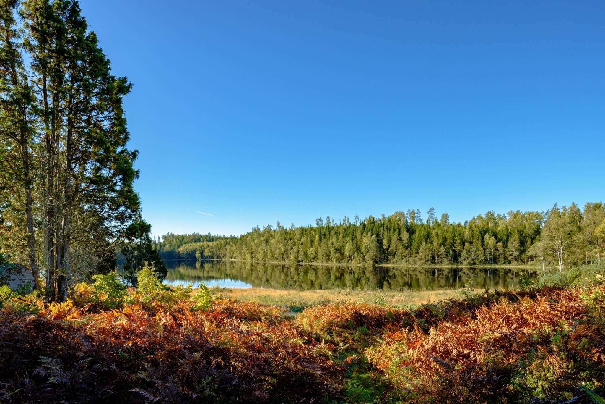 Gård/skog på Åshuvud Björsbo 1 Gnosjö Gnosjö kommun - bild 36