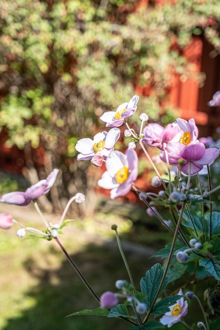 6 rum Kedjehus på Legendgatan 124 Backa Bällskär Göteborgs kommun - bild 32
