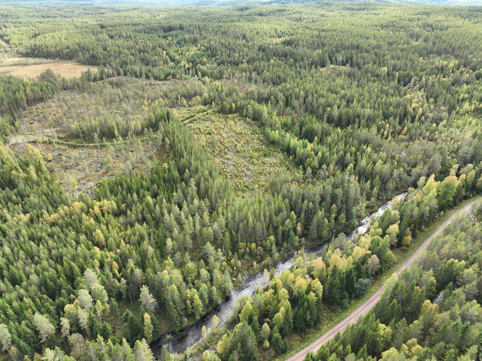 Gård/skog på Limbäck 89:3 Våmhus Mora kommun - bild 30