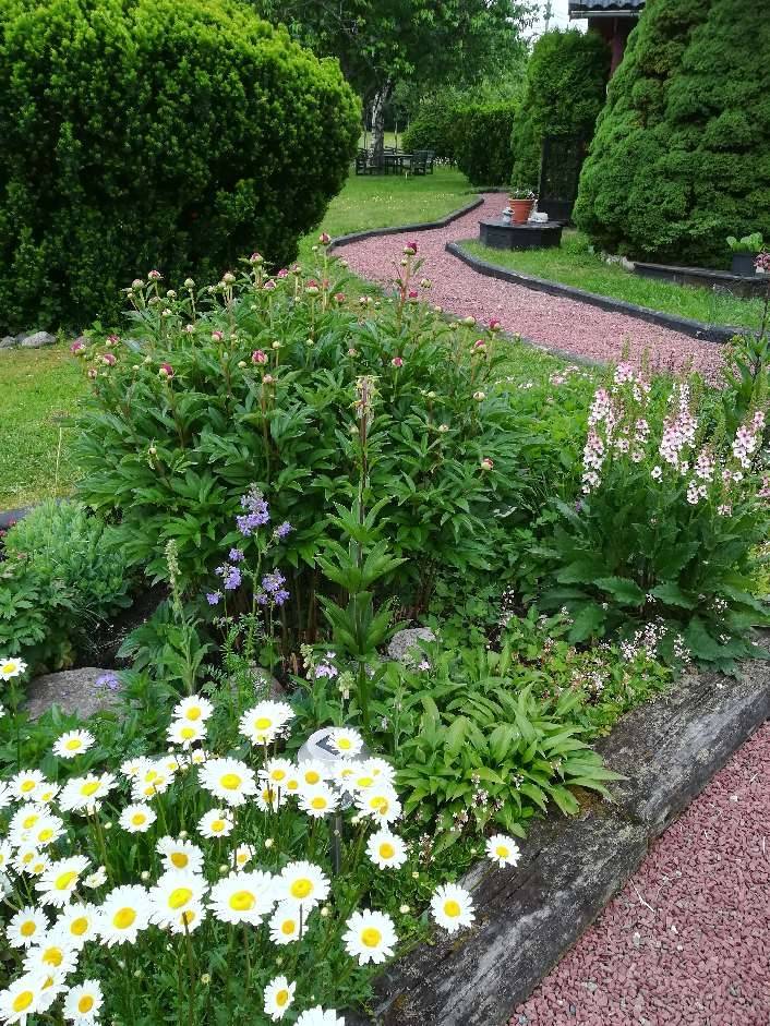 3 rum Vinterbonat fritidshus på Bojvägen 1 Enviken Norrtälje kommun - bild 32