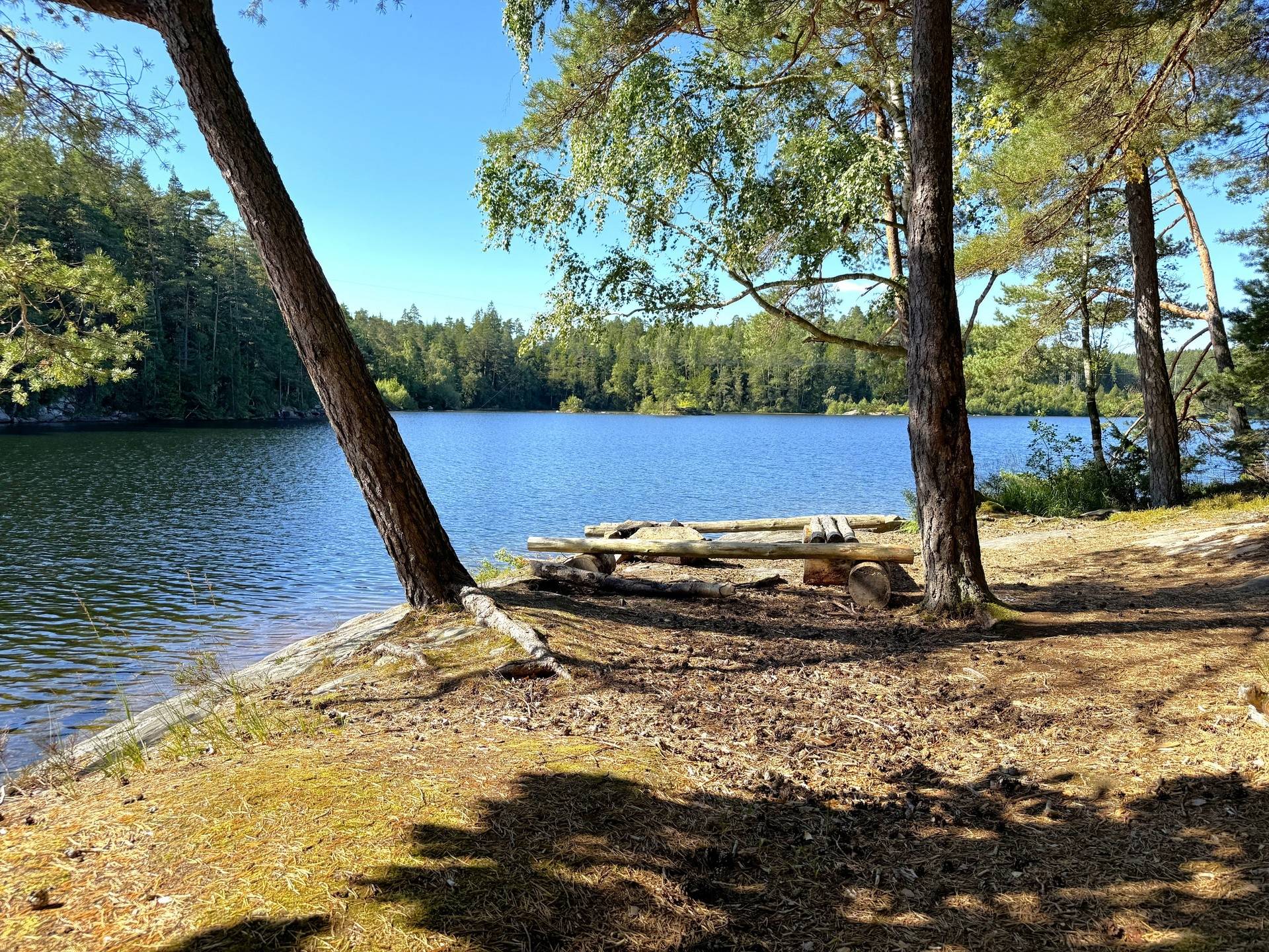 Gård med skogsbruk på Stillestorp 1:1 Lerum Lerums kommun - bild 3