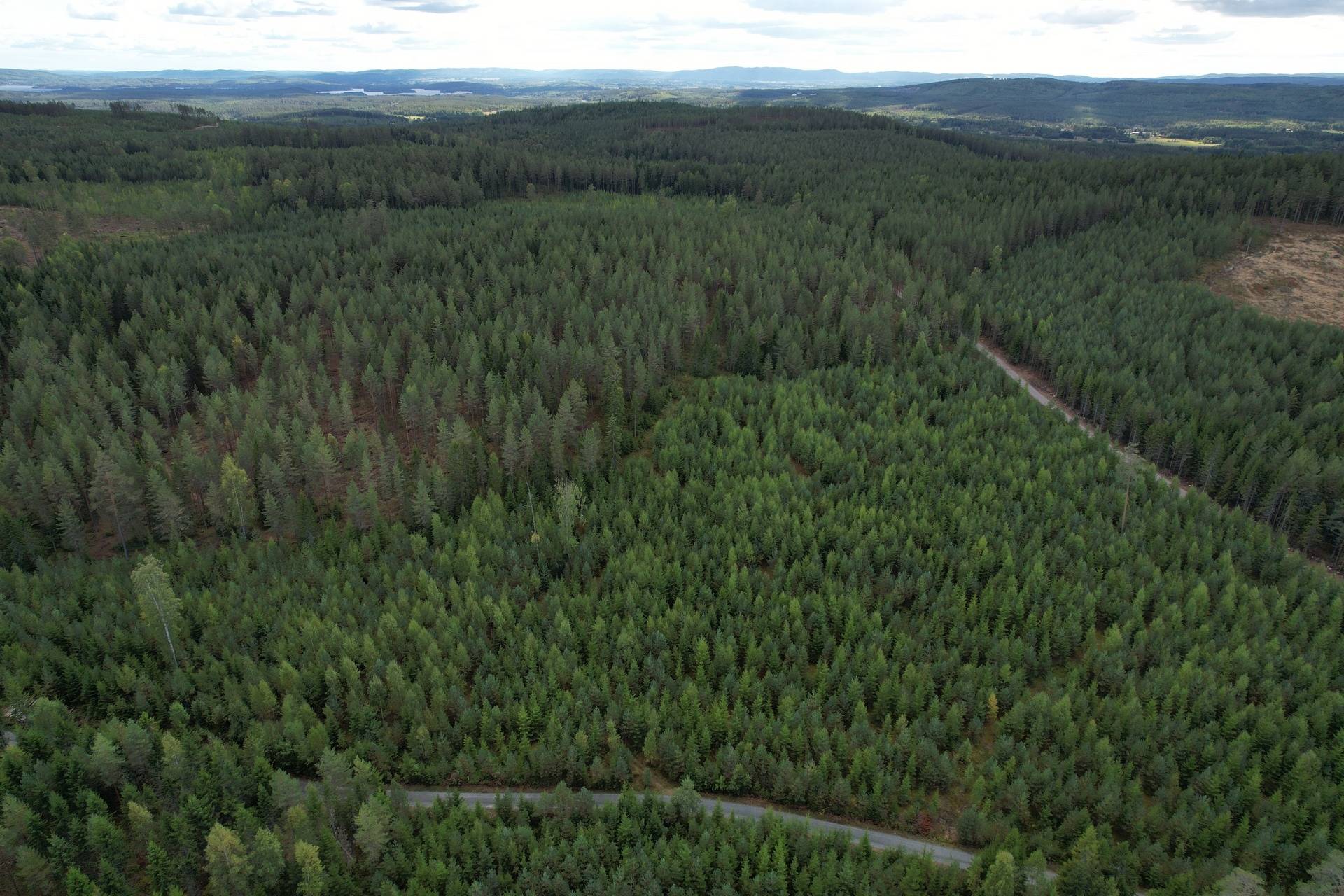 Gård med skogsbruk på Vällgården Falu kommun - bild 30
