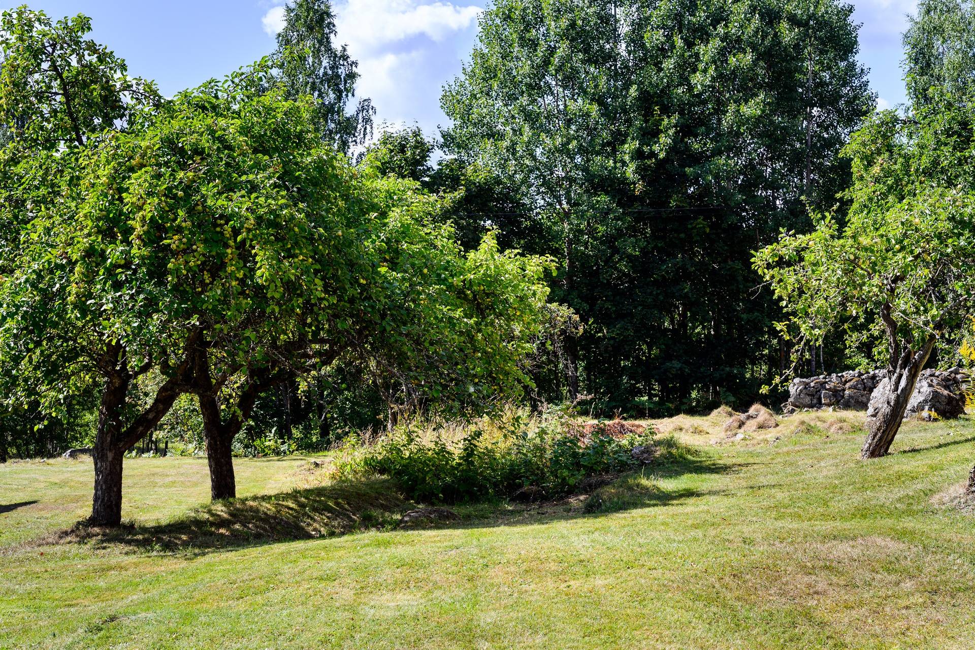 5 rum Villa på Harmsarvsvägen 74 Grycksbo Falu kommun - bild 38