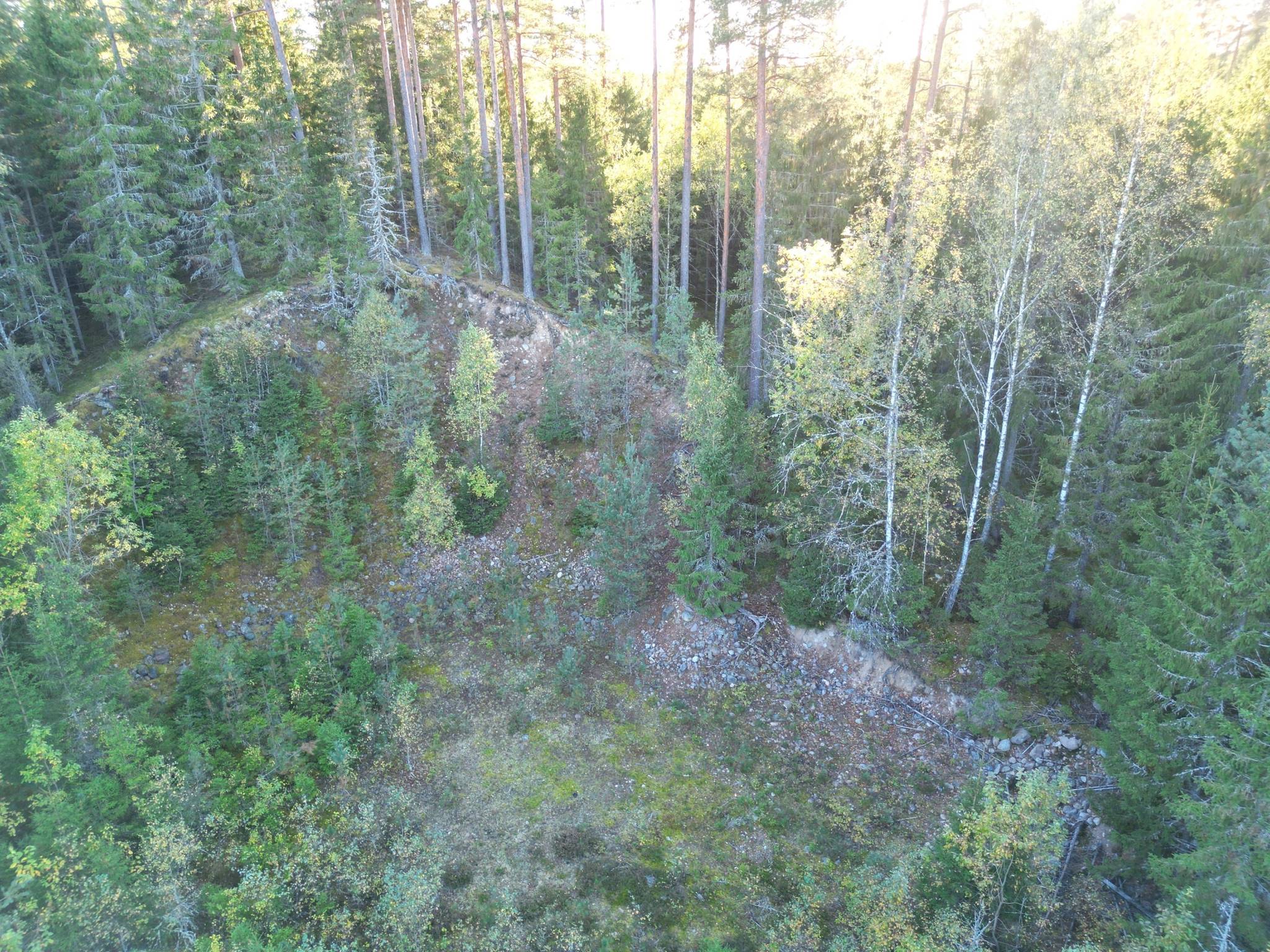 Gård med skogsbruk på Trällebonäs, Älmeboda Älmeboda Trällebo Tingsryds kommun - bild 20
