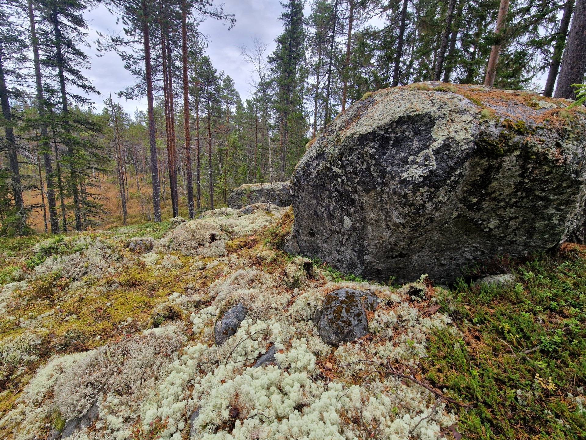 Gård med skogsbruk på BRÄCKE LUND 2:113 & 2:83 Sörbygden Bräcke kommun - bild 18