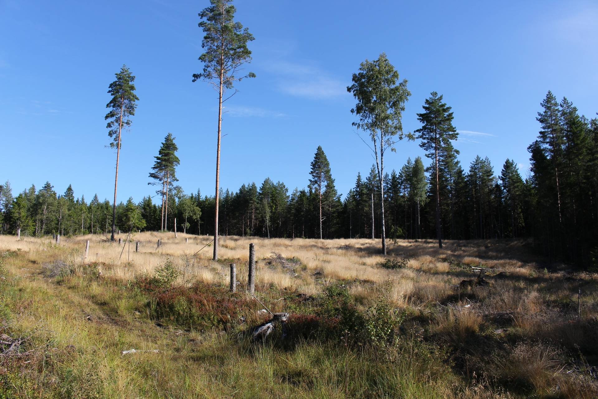 Gård med jordbruk på Butorp Forshaga kommun - bild 55