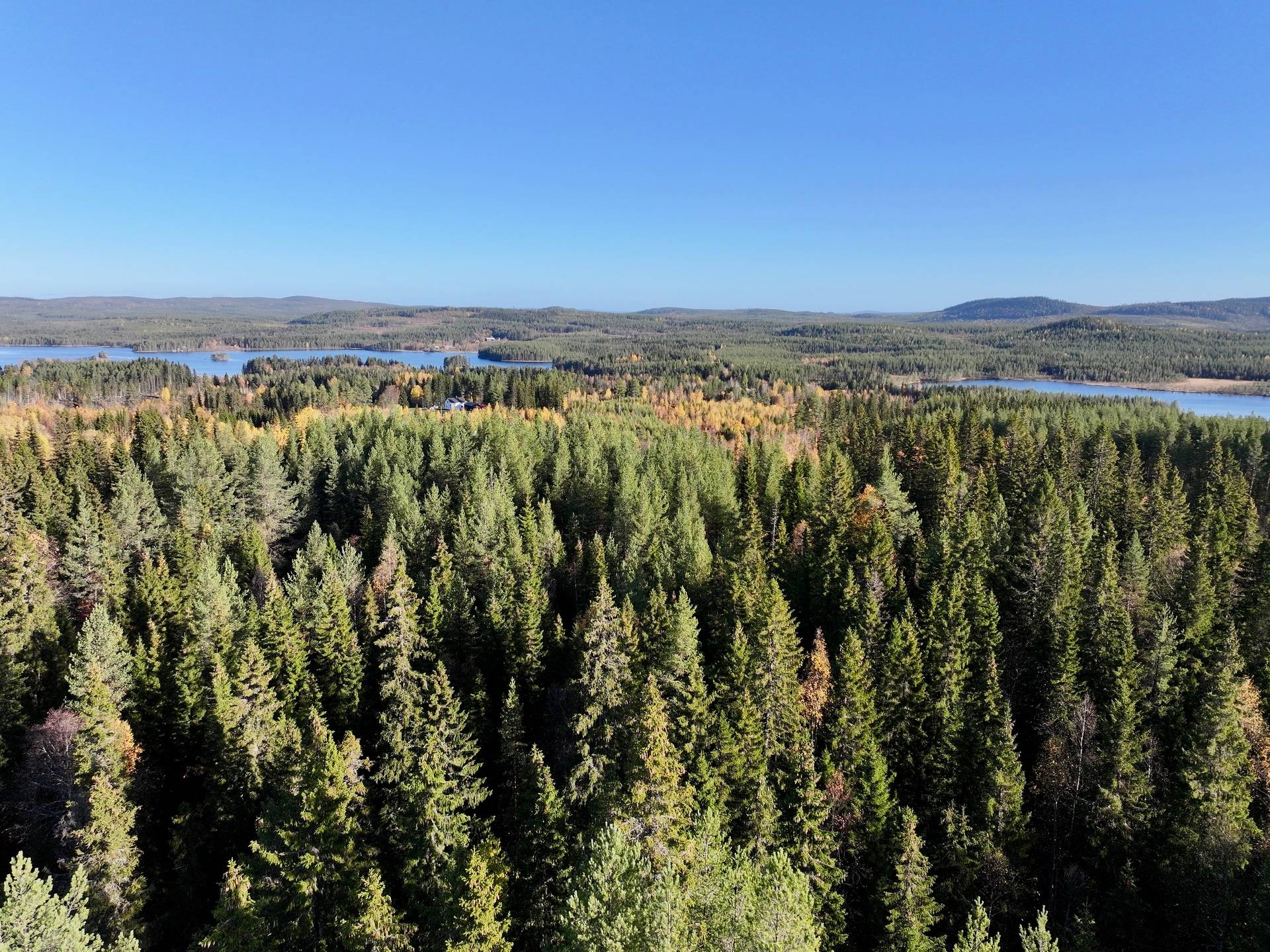 gård/skog på Holmträsk 40 Solberg, Örnsköldsviks kommun - bild 2