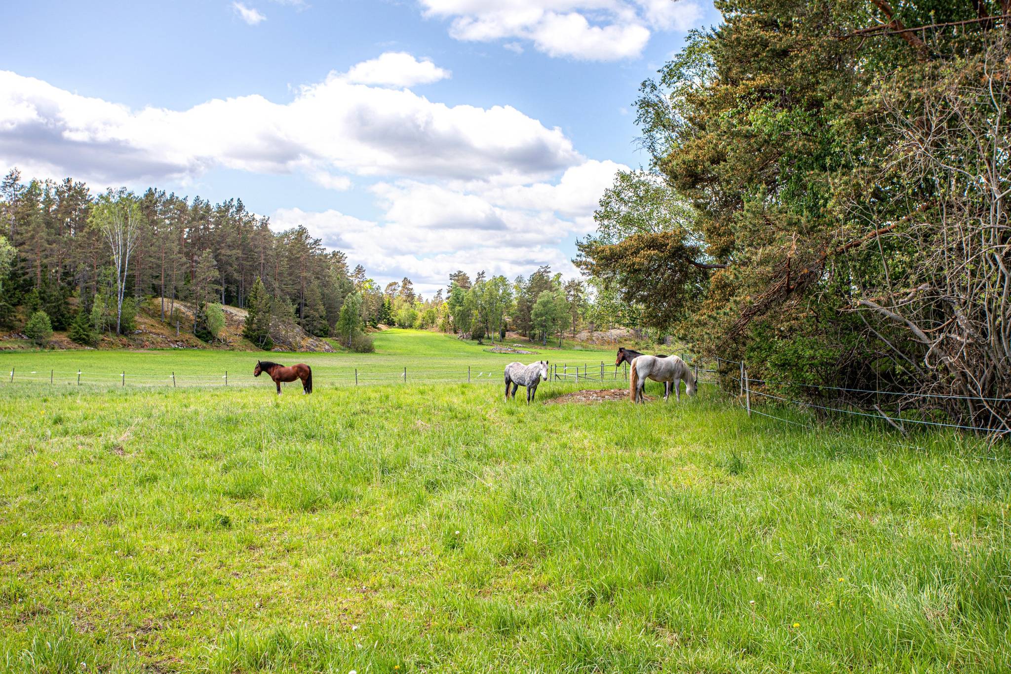 4 rum Villa på Noravägen 48 Nora Värmdö kommun - bild 29