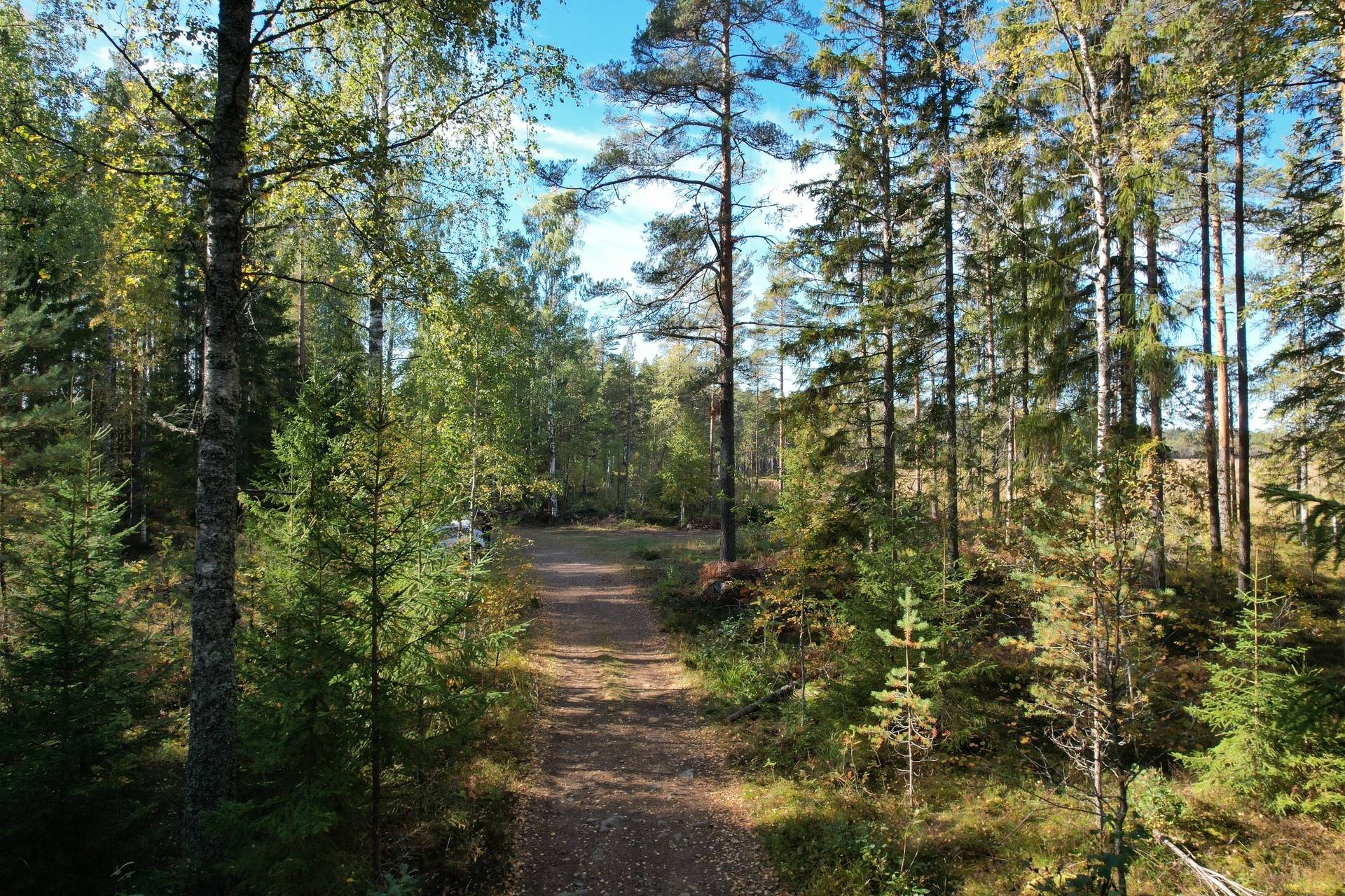 Gård med skogsbruk på Landtjärn Sandvikens kommun - bild 34