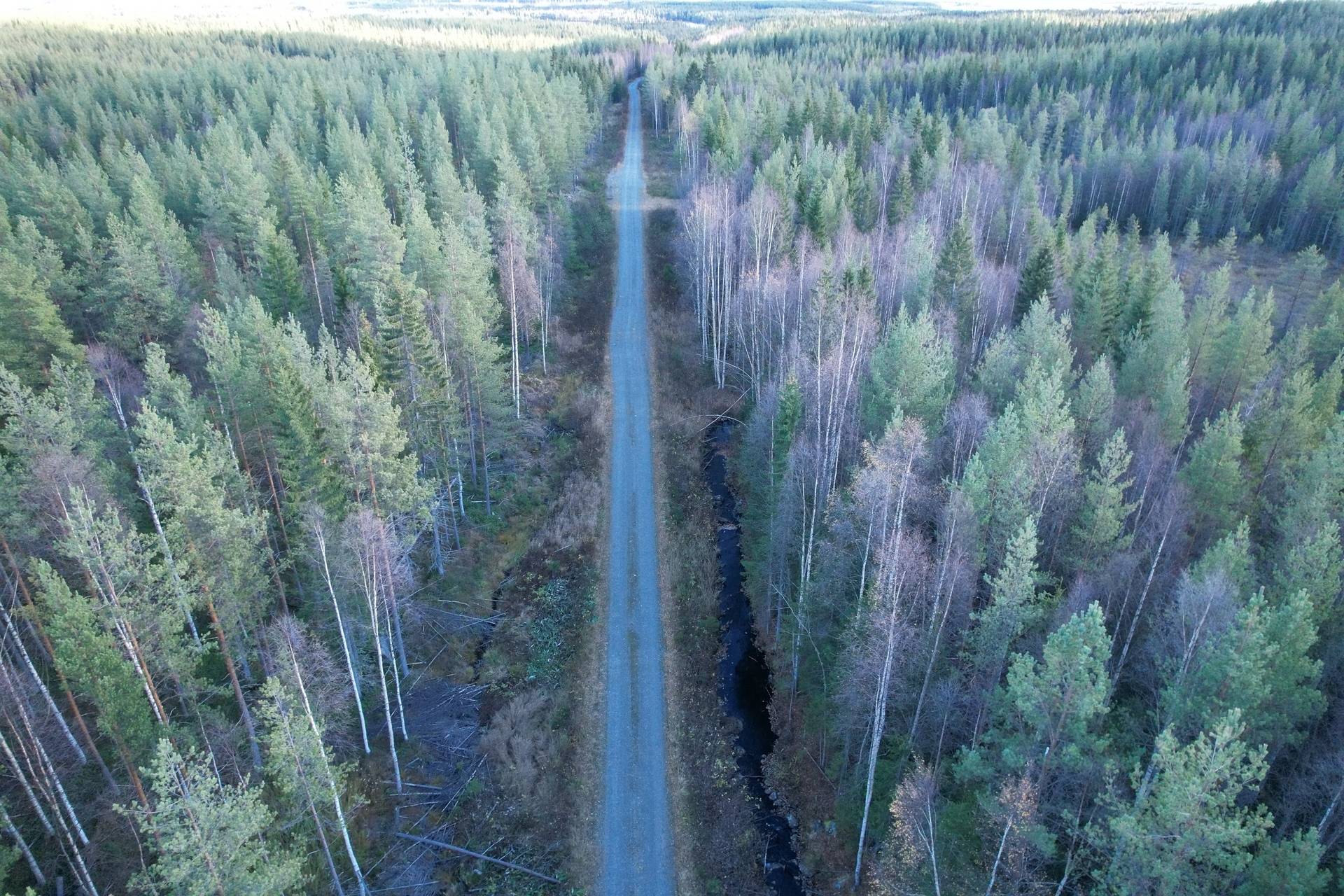 gård med skogsbruk på Adress saknas Gunnarn, Storumans kommun - bild 4