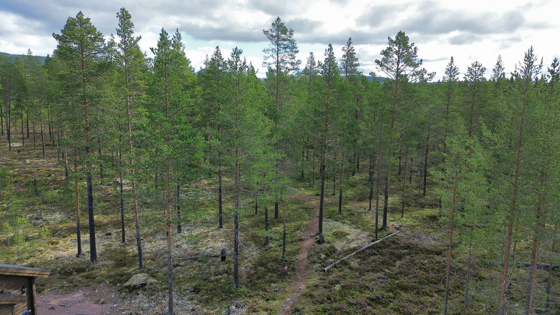 tomt på Björnvägen 24 Fjällfoten, Älvdalens kommun - bild 5
