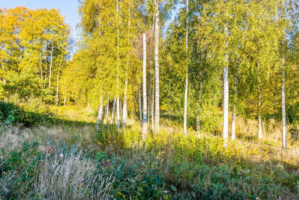 6 rum Lägenhet på Västra Fjärilsvägen 164 Lextorp Trollhättans kommun - bild 22