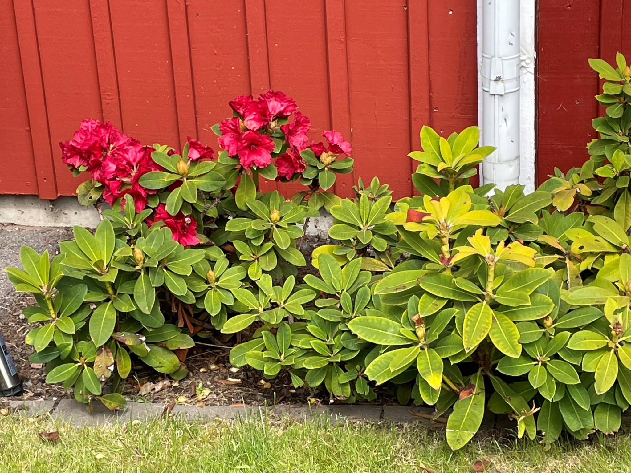 4 rum Parhus på Hyacintvägen 4B Sätra Gävle kommun - bild 43