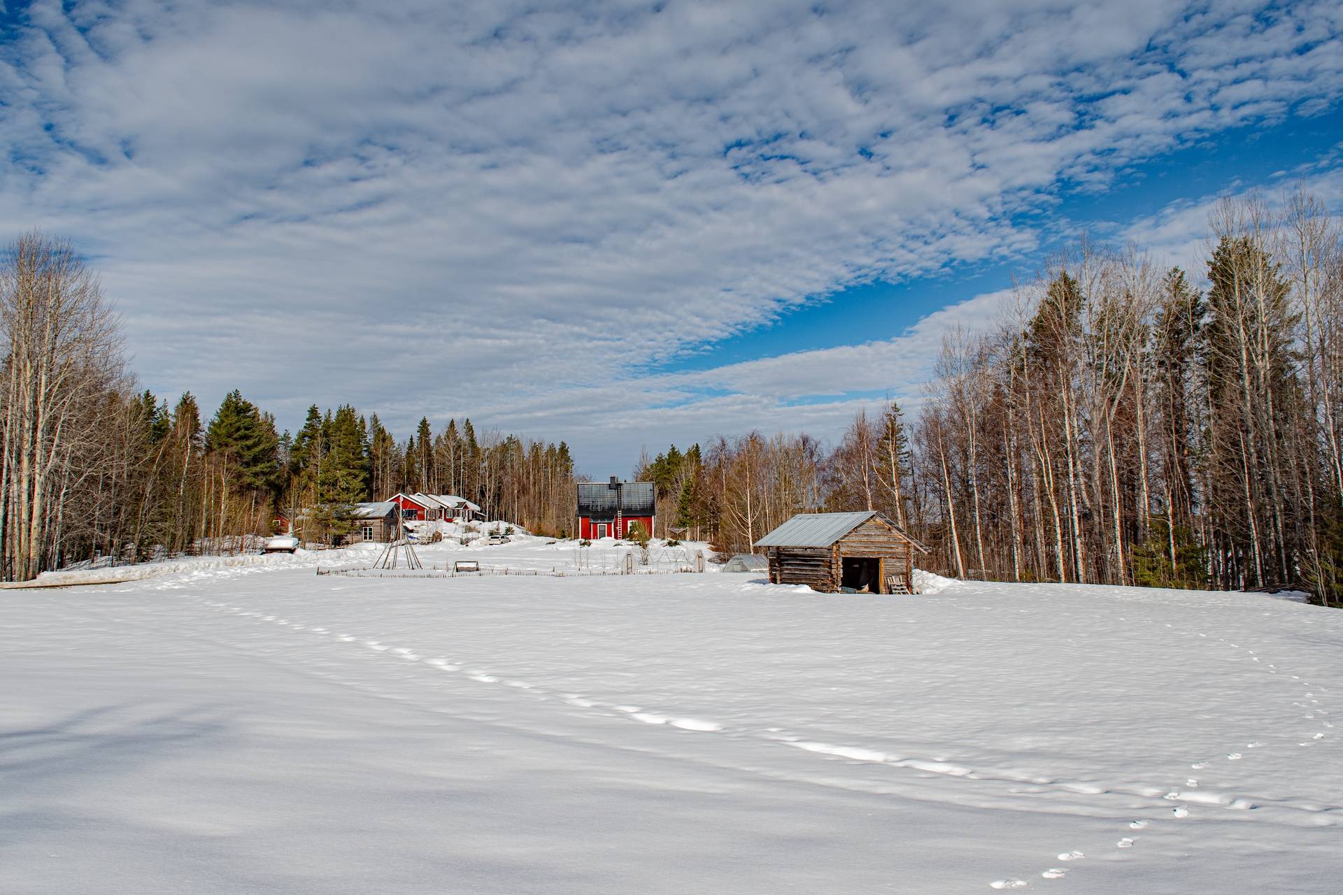 6 rum Gård utan jordbruk på Lomselenäs 436 Blattnicksele Sorsele kommun - bild 46