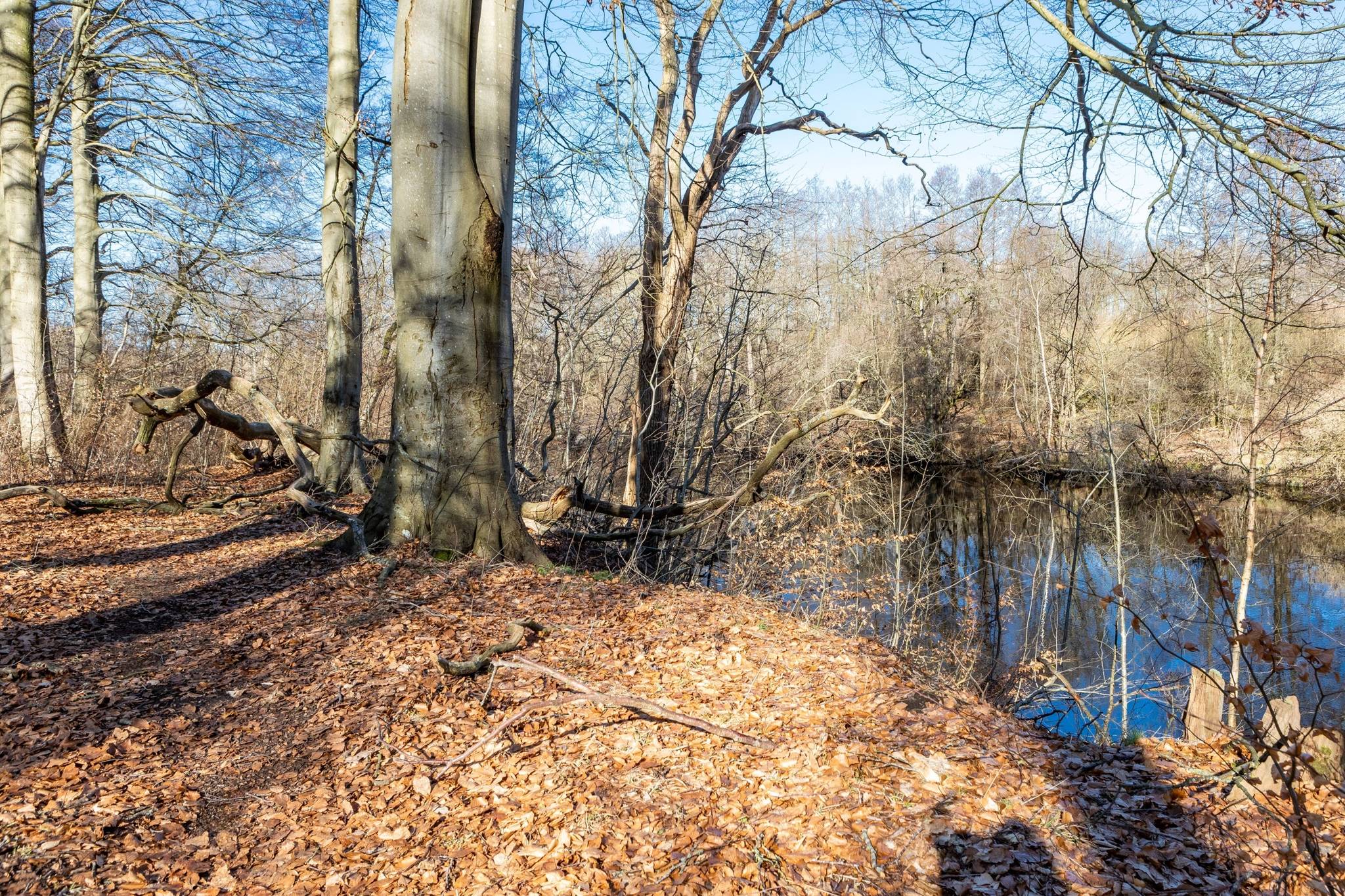 4 rum Radhus på Sniljegången 22 Frennarp Halmstads kommun - bild 36