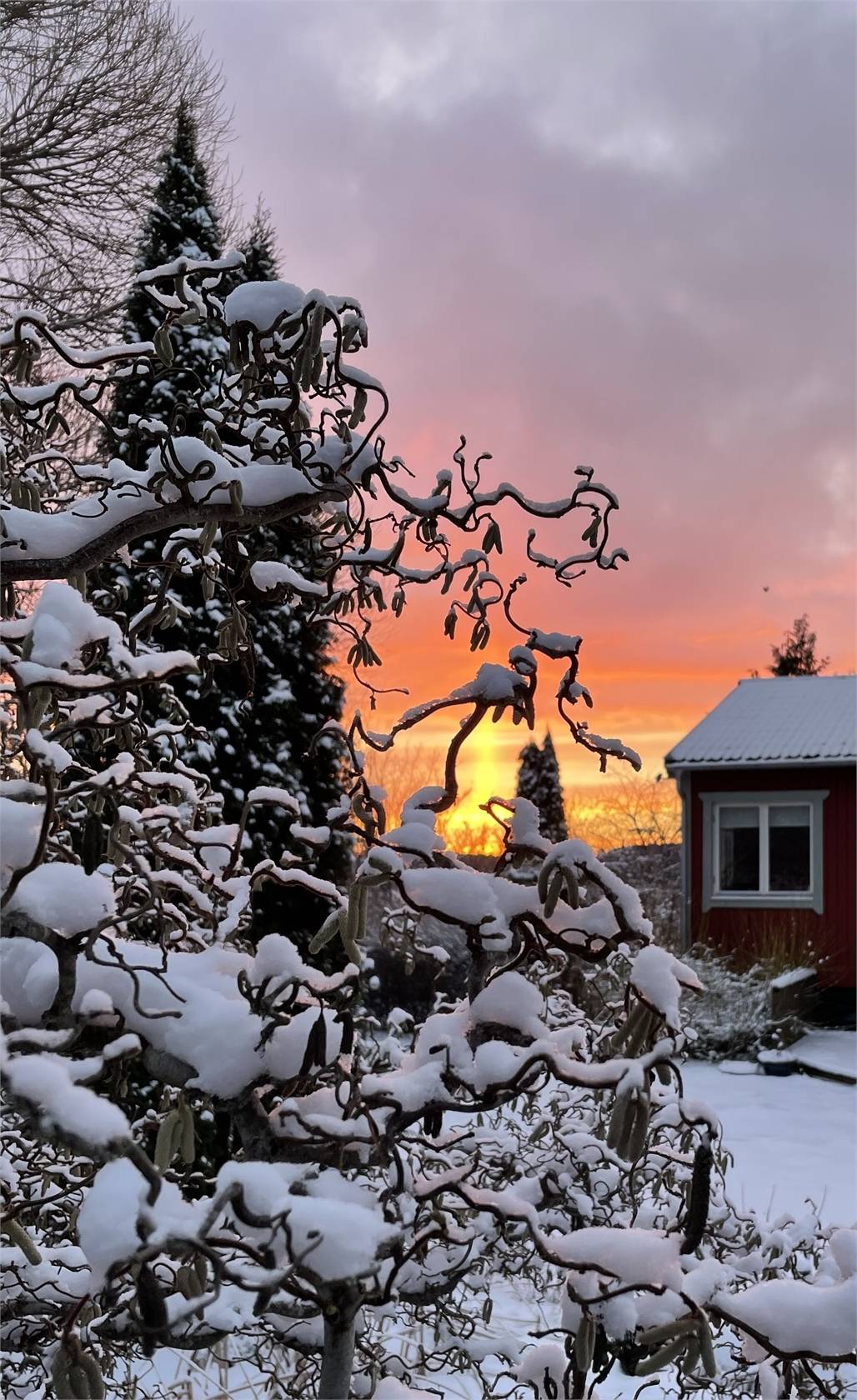 3 rum Vinterbonat fritidshus på Horrsta 143 Heby Heby kommun - bild 60