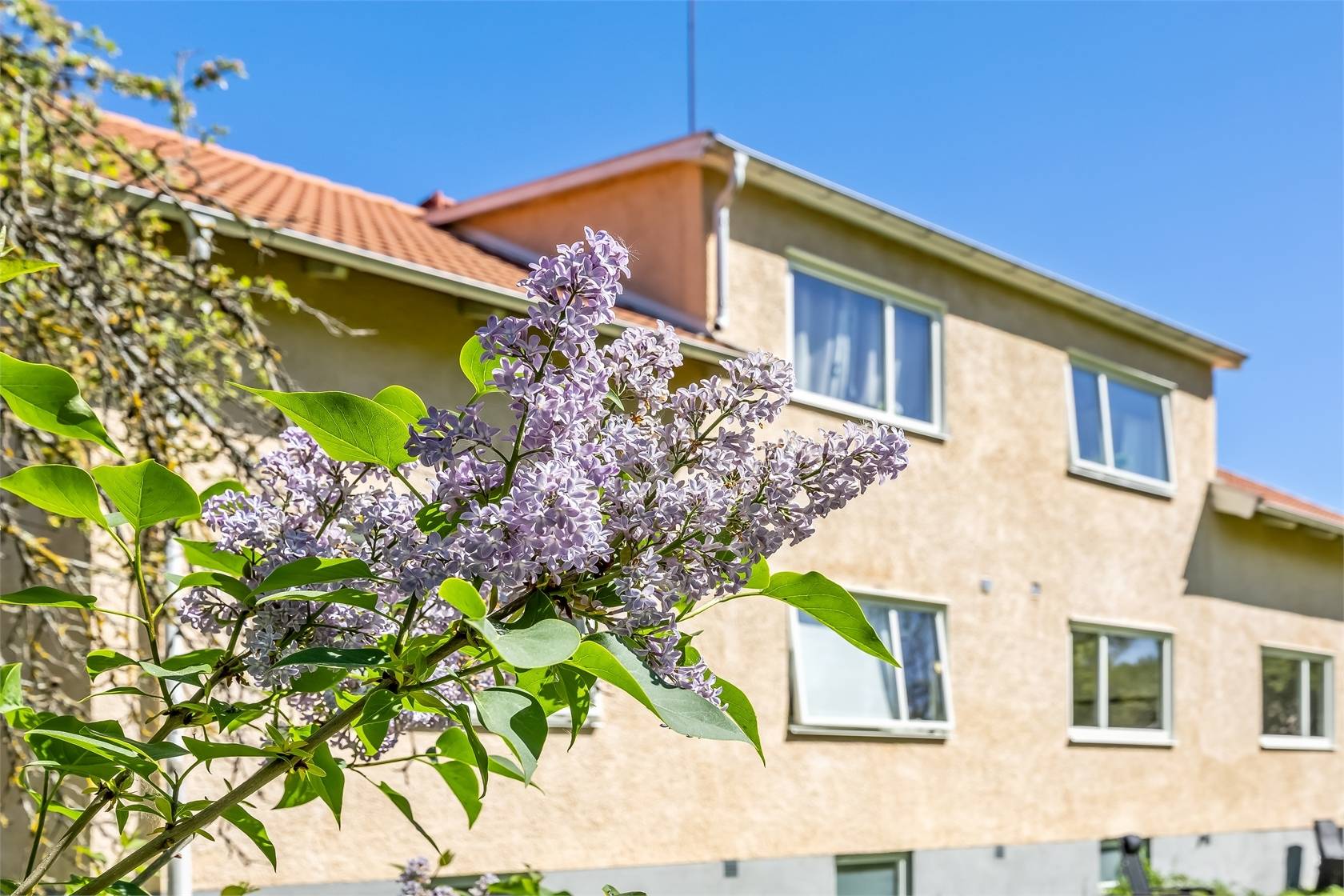 244 m² Övrig på Södra Esplanaden 18 Borgholm Borgholms kommun - bild 24