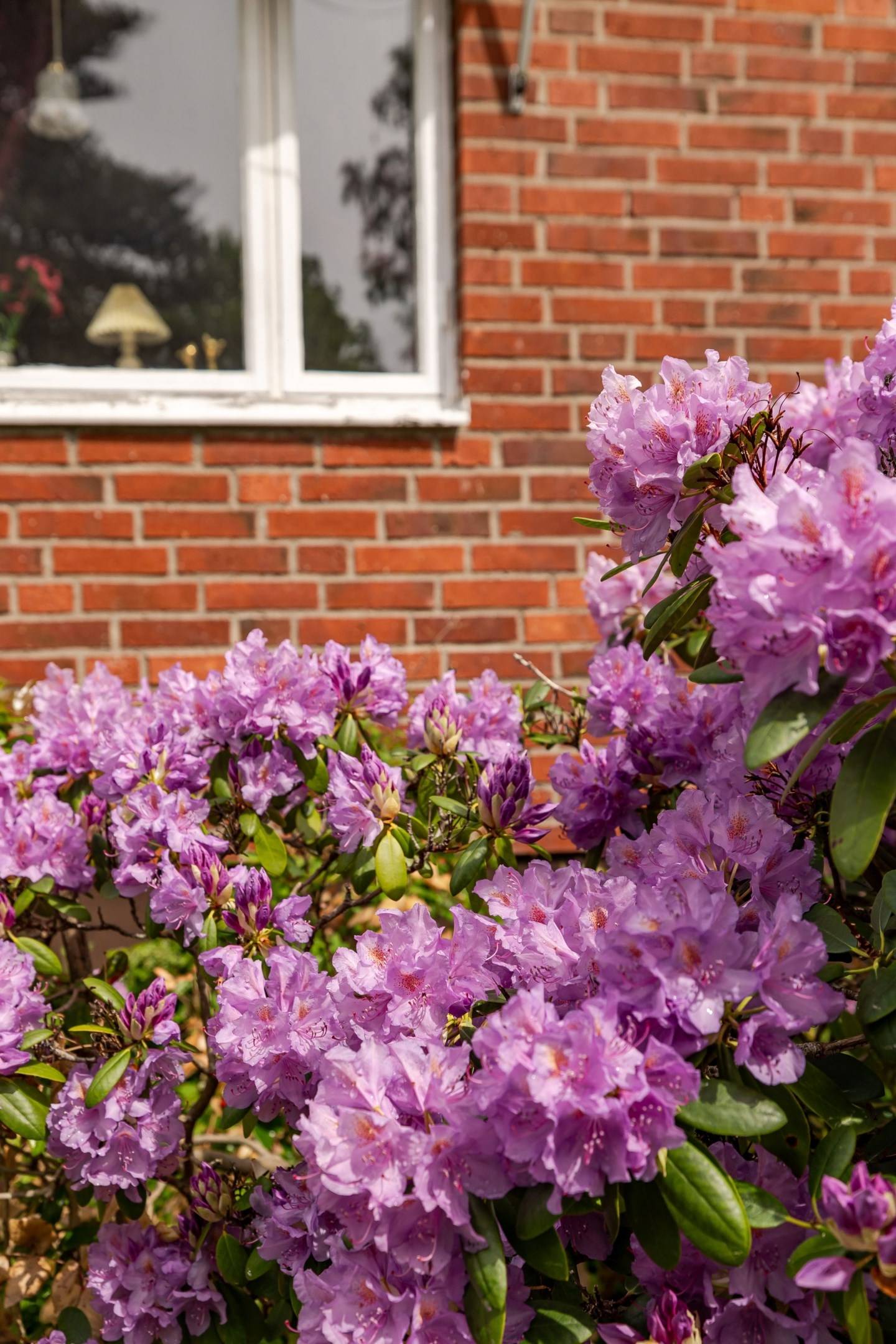 4 rum Villa på Ryttarevägen 1 Blankaholm Västerviks kommun - bild 42