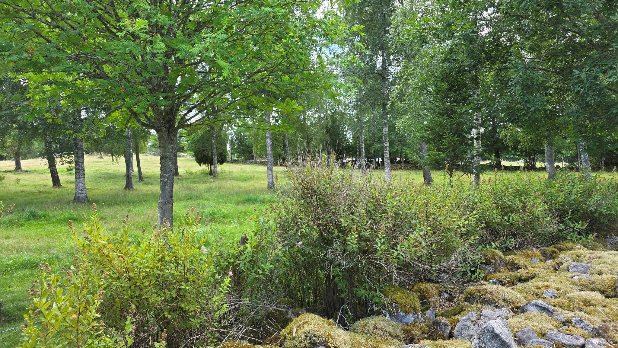 4 rum Fritidshus på Väderlanda LILLEGÅRD 1 Växjö kommun - bild 95