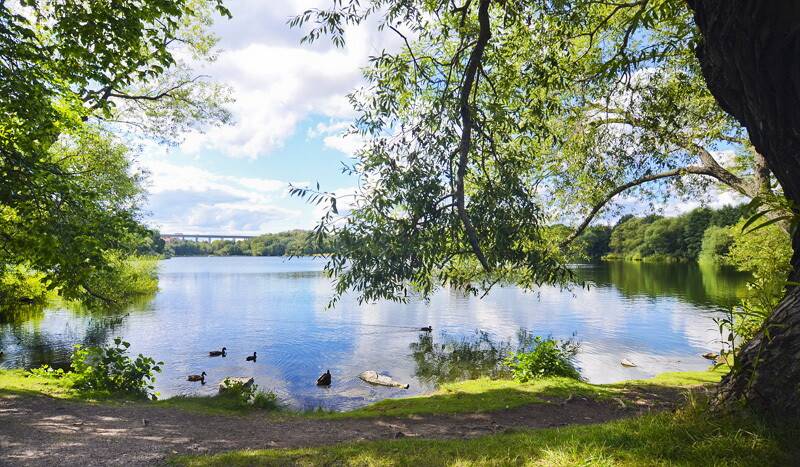 1.5 rum Lägenhet på Katrinebergsbacken 28 Stockholm Stockholms kommun - bild 43