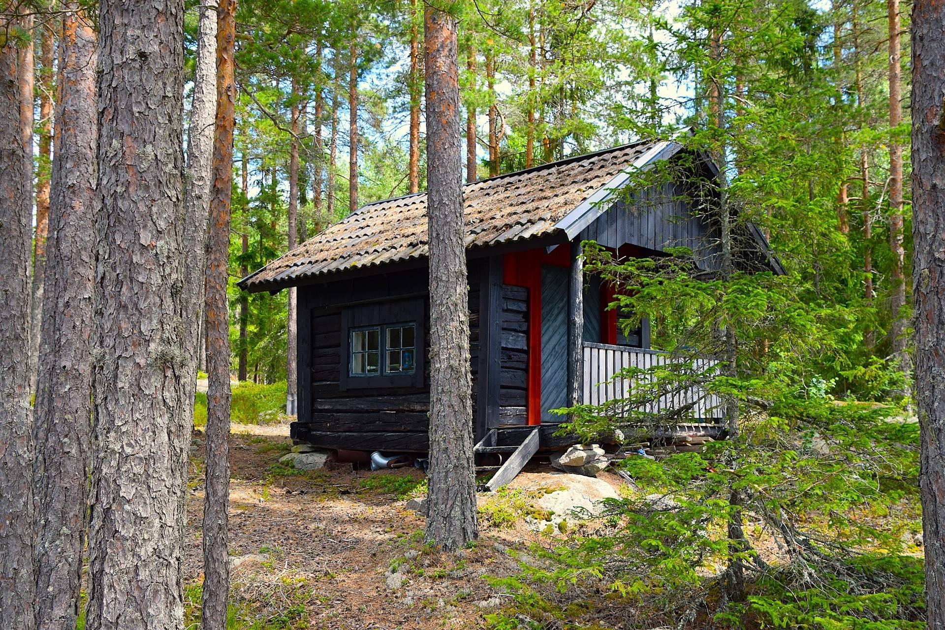 Gård med skogsbruk på Tömte Tömte Eda kommun - bild 3
