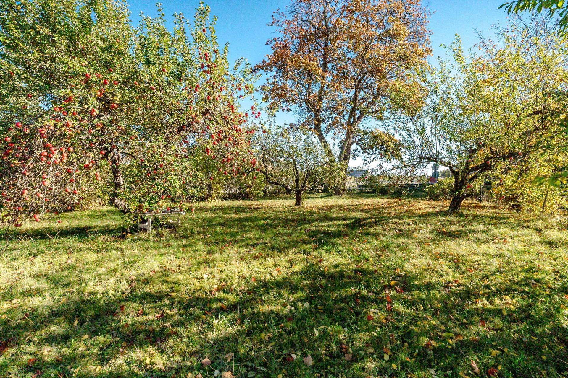 12 rum Villa på Stationsvägen 1 & 3 Centrum Knivsta kommun - bild 79