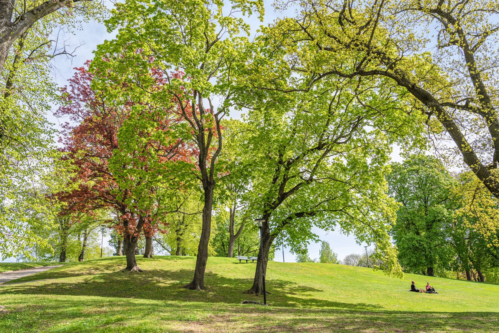 3 rum Lägenhet på Drottningholmsvägen 4 Kungsholmen Stockholms kommun - bild 25