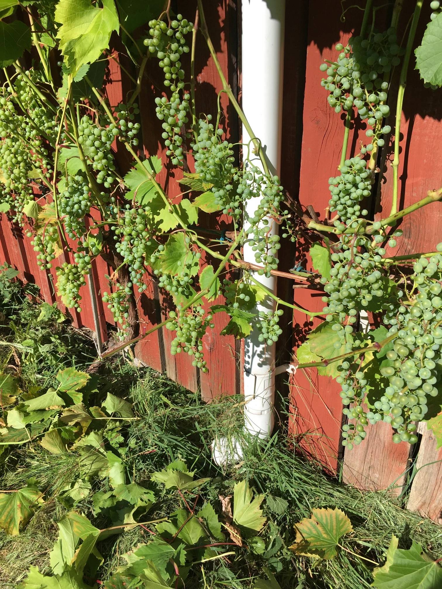 7 rum Villa på Södra Ödsmål 16 Hamburgsund Tanums kommun - bild 37