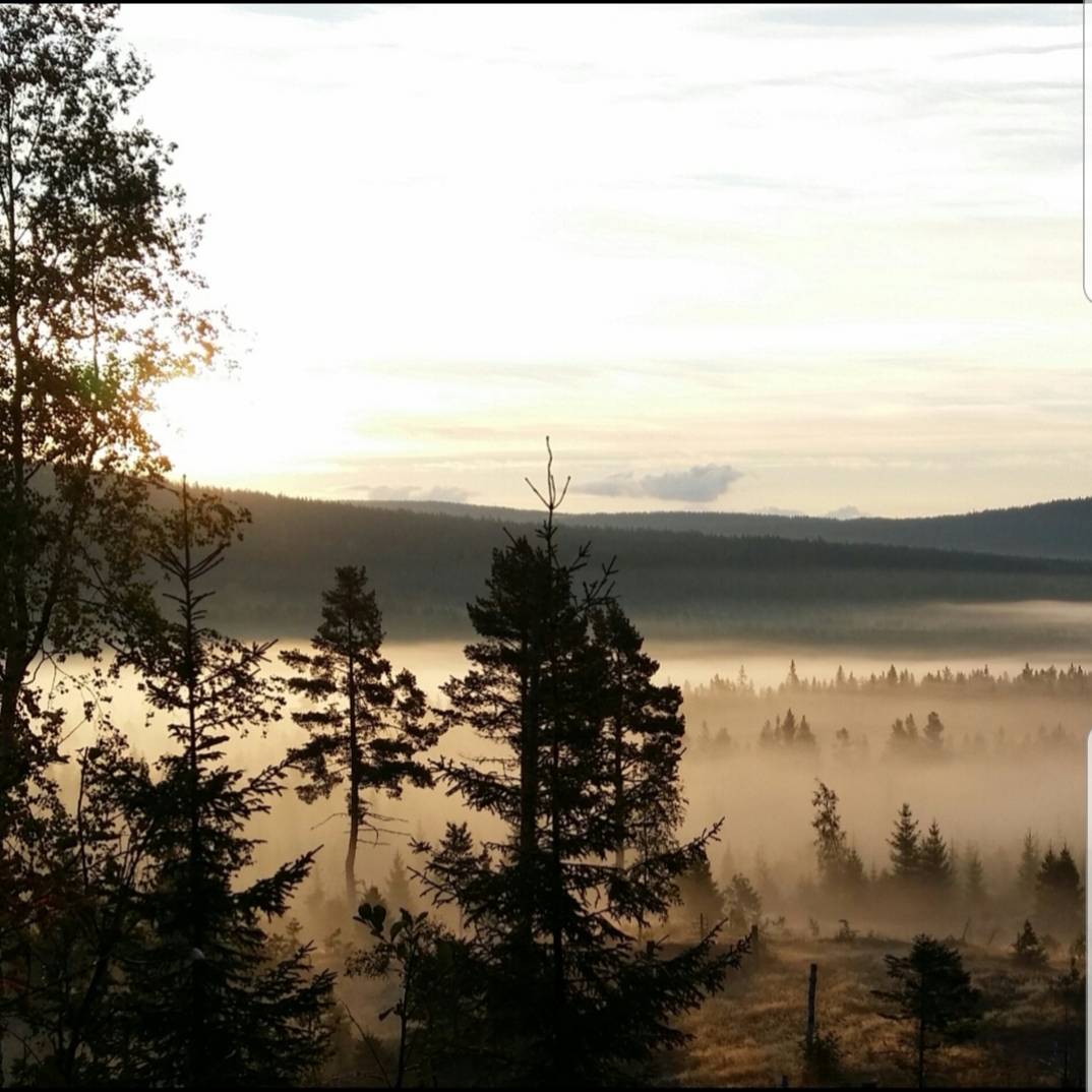 4 rum Villa på Tyngsjö Sakofallsvägen 80 Malung-Sälens kommun - bild 49