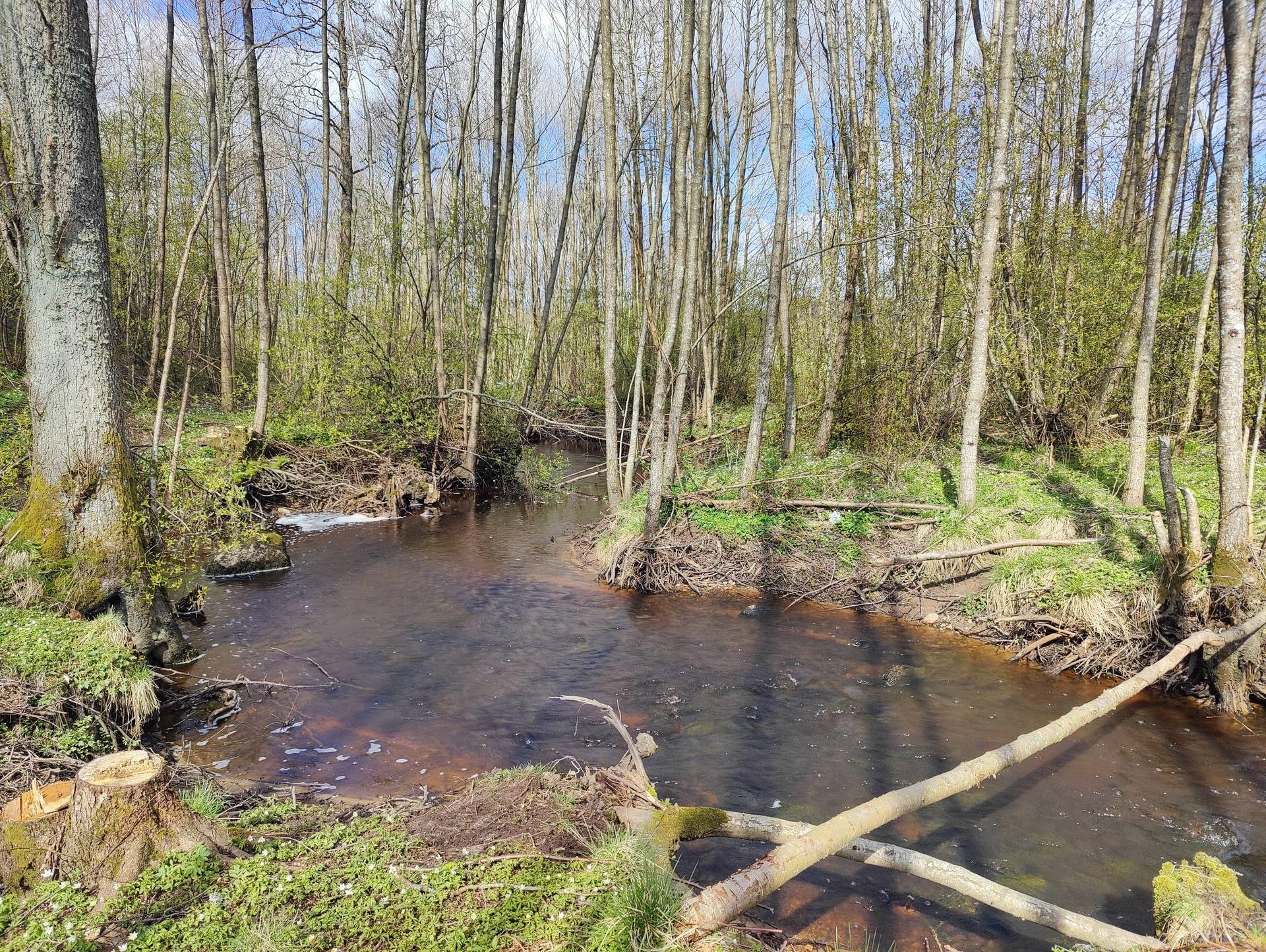 7 rum Villa på Gennevedsvägen 124 Sollebrunn Alingsås kommun - bild 30