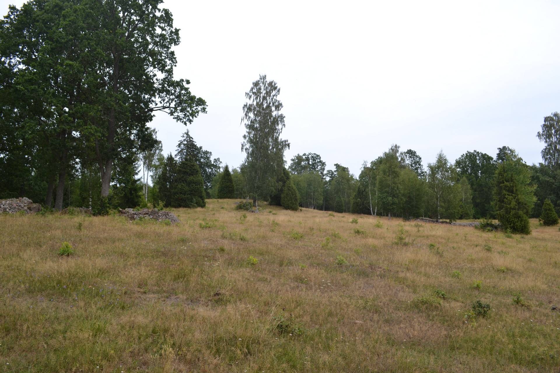 Gård/skog på Boasjö Boasjö Karlskrona kommun - bild 18