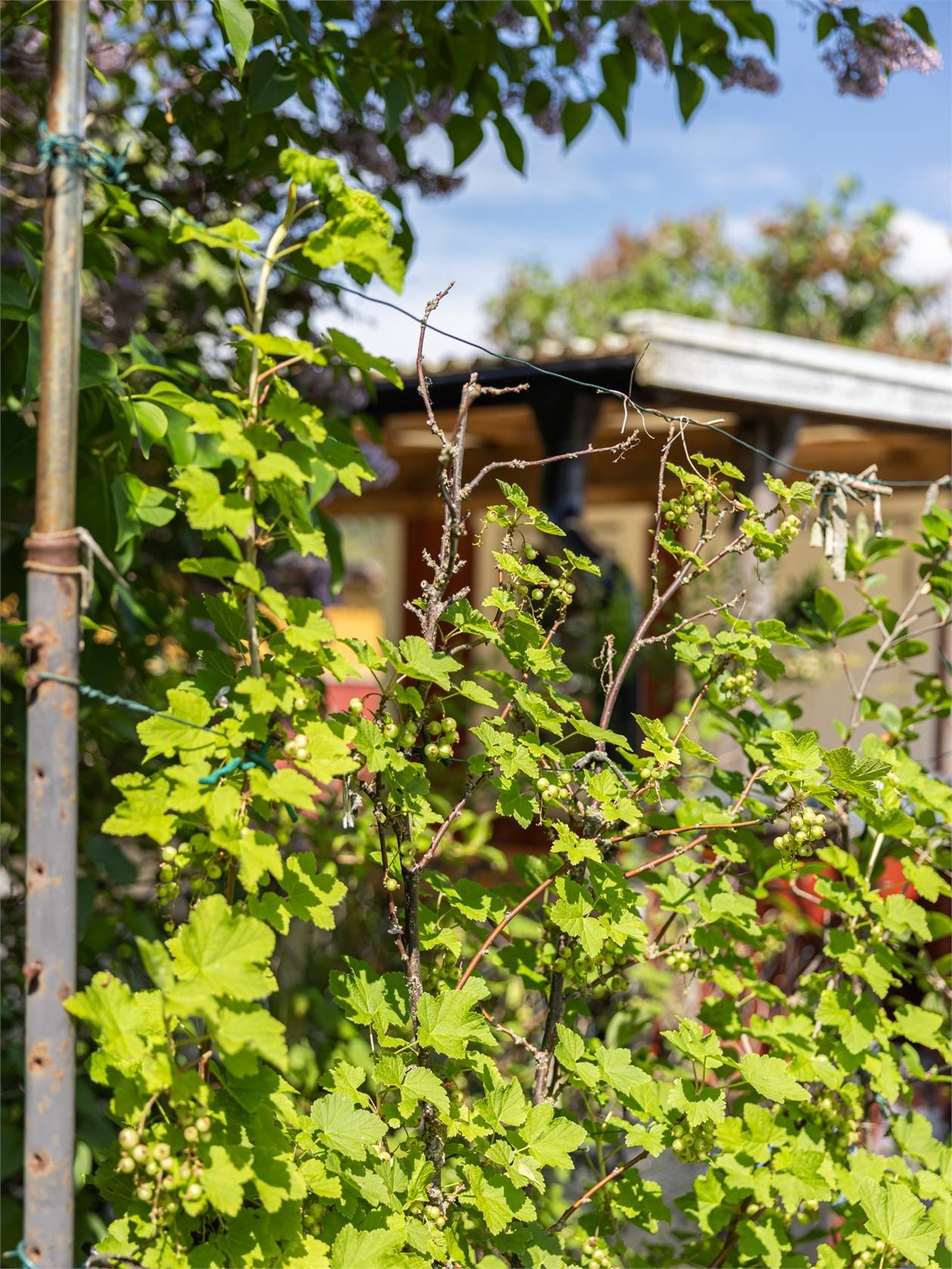1 rum Fritidshus på Folkparksvägen 23, Västra sommarstaden nr 14 Väster Lunds kommun - bild 18