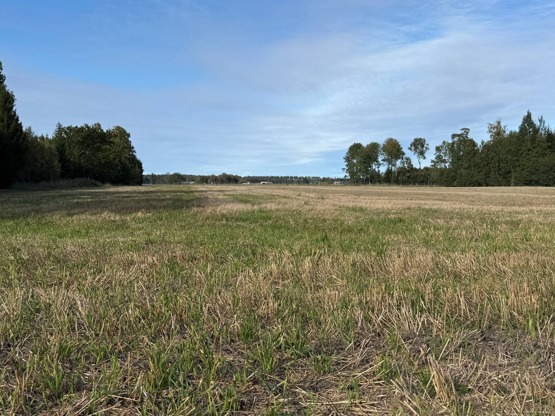 Gård med skogsbruk på Pilagården Lidköpings kommun - bild 4