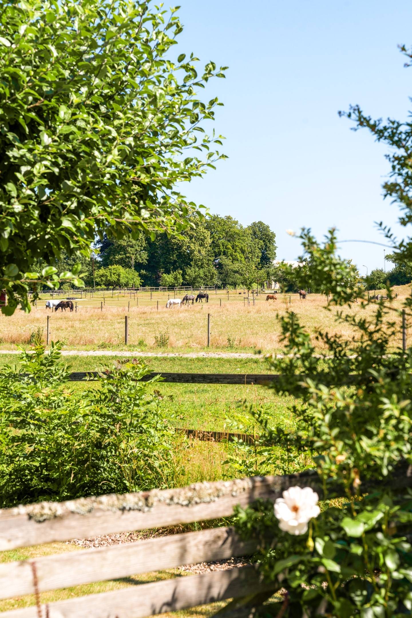 7 rum Villa på Västratornsvägen 25 Vallkärra Lunds kommun - bild 44